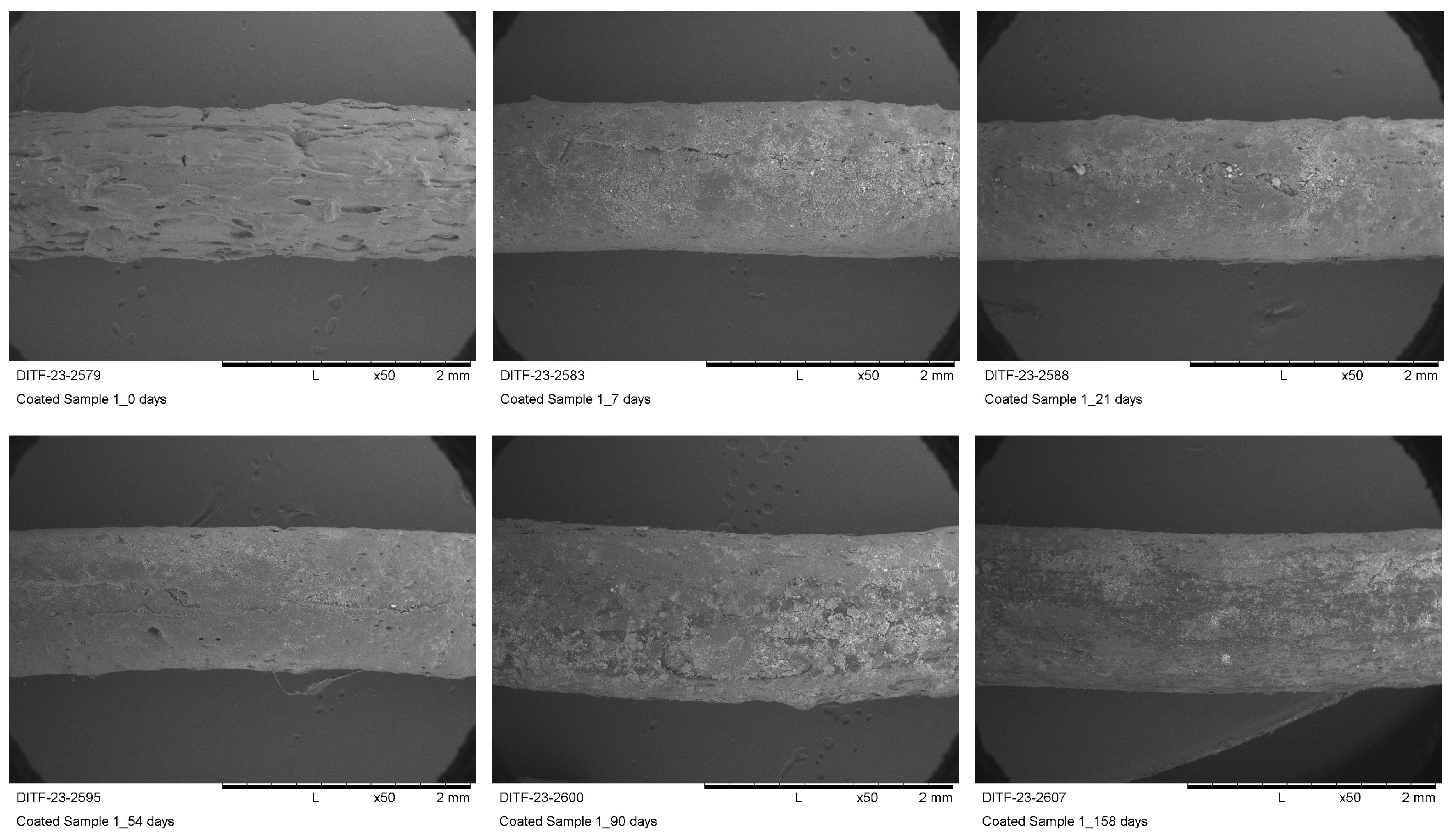 Materials 16 04849 g007