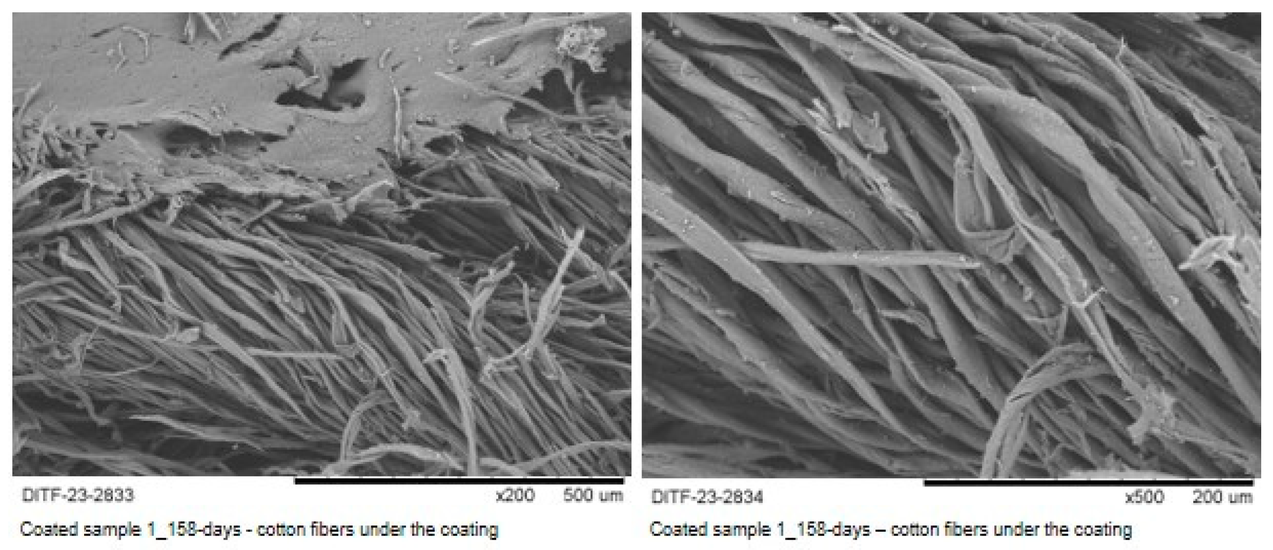 Materials 16 04849 g008