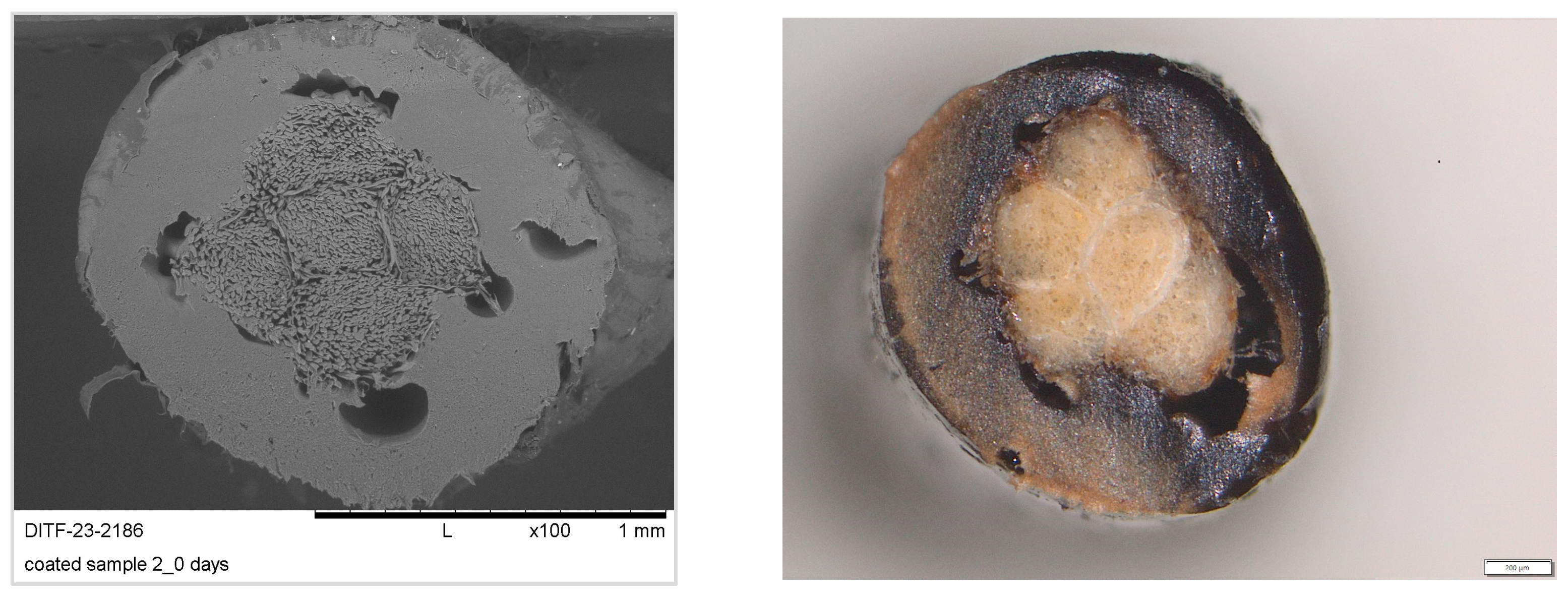 Materials 16 04849 g012