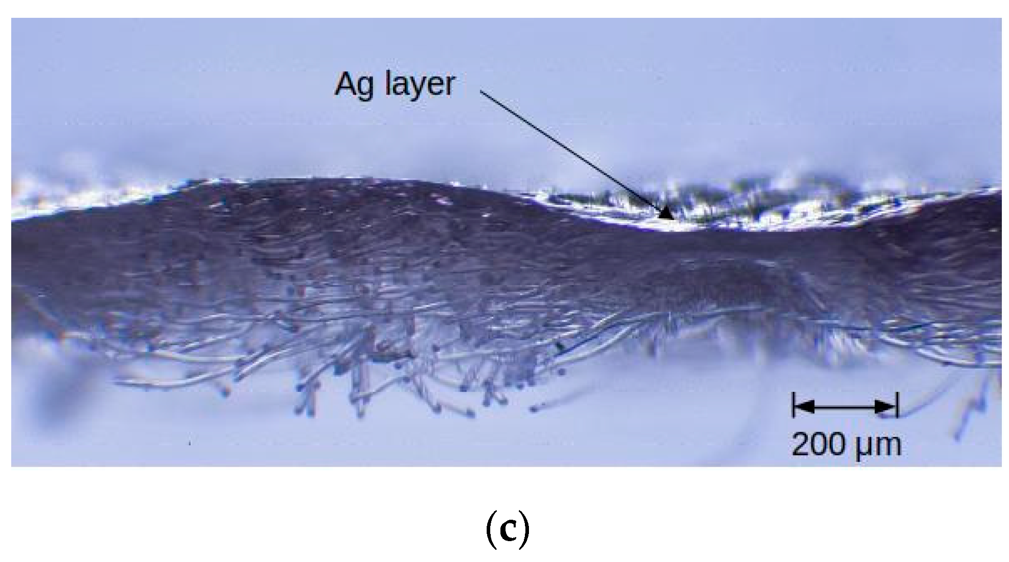 Materials 16 04856 g006b Materials 16 04856 g006b