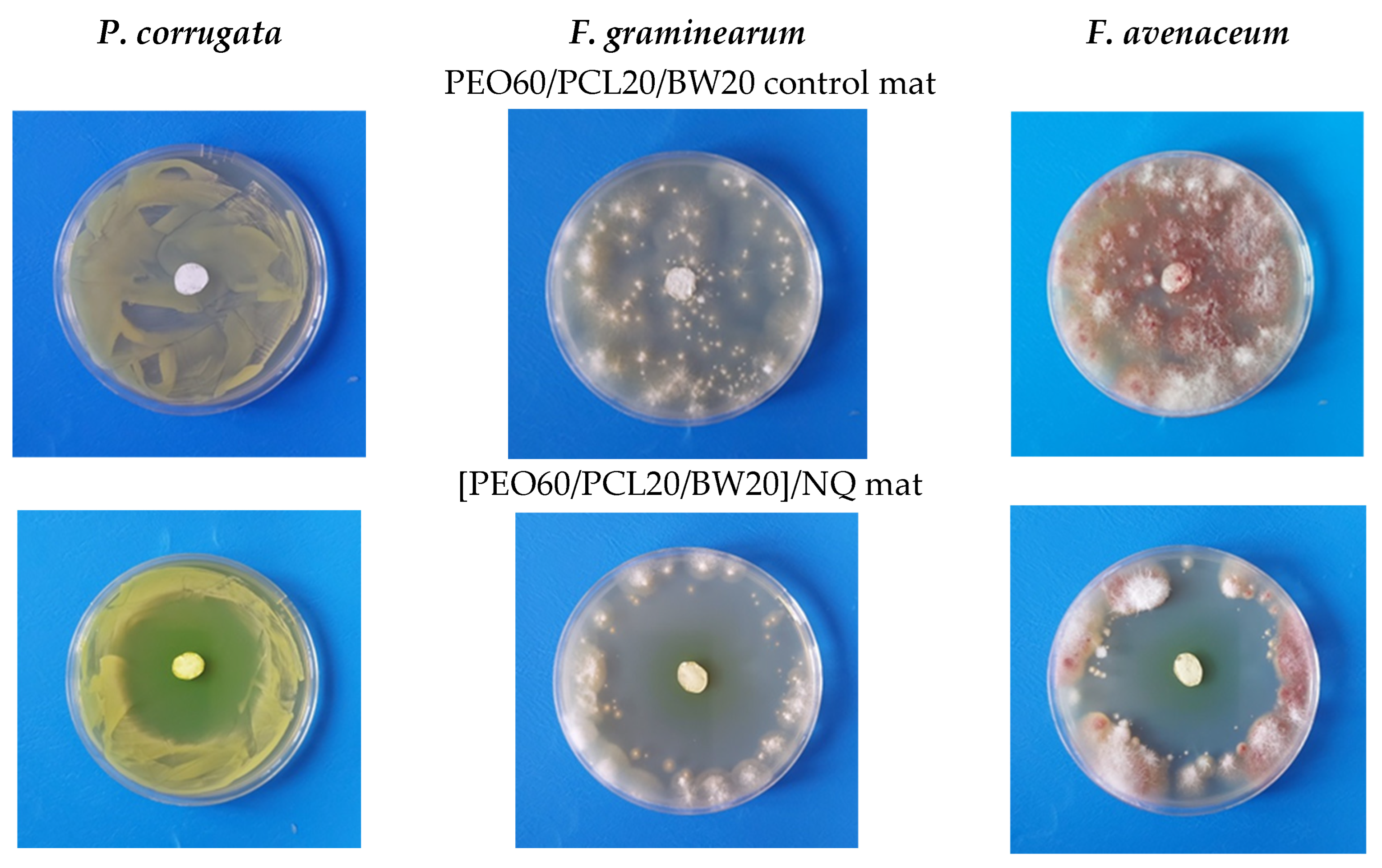 Materials 16 04882 g004