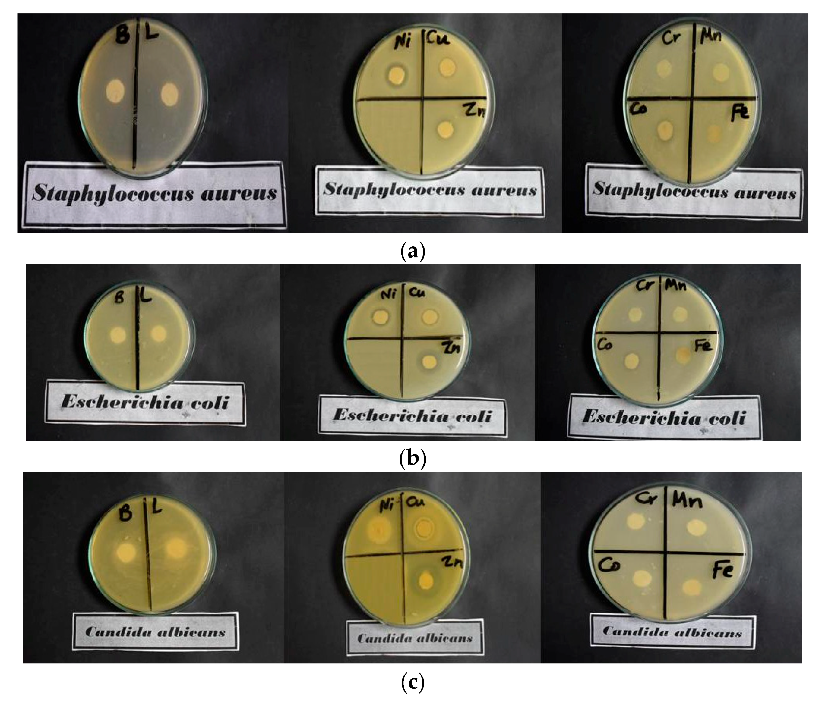 Materials 16 04885 g007a Materials 16 04885 g007a