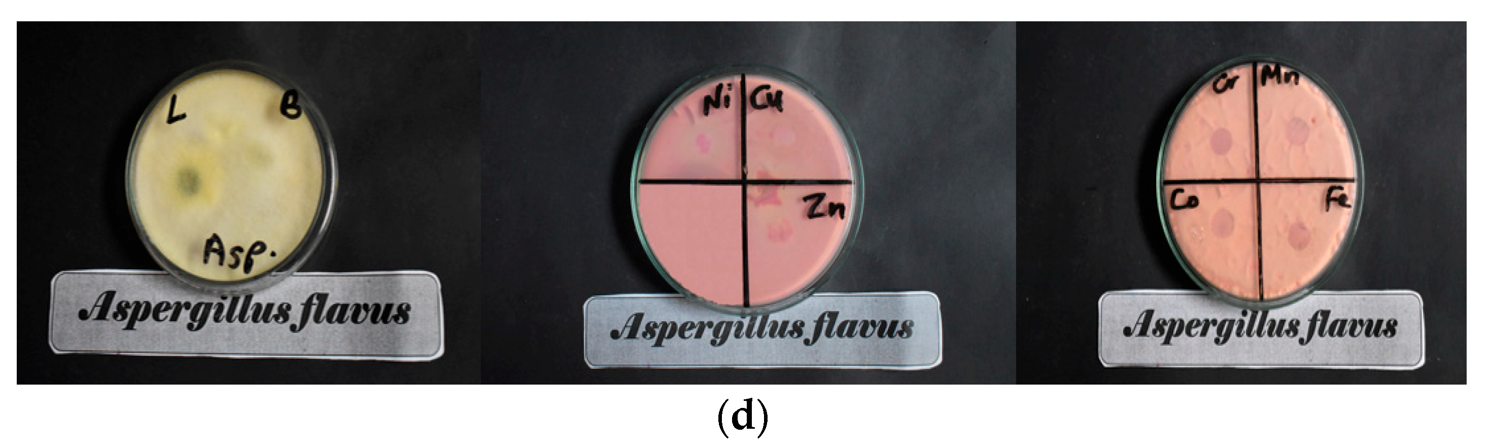 Materials 16 04885 g007b Materials 16 04885 g007b