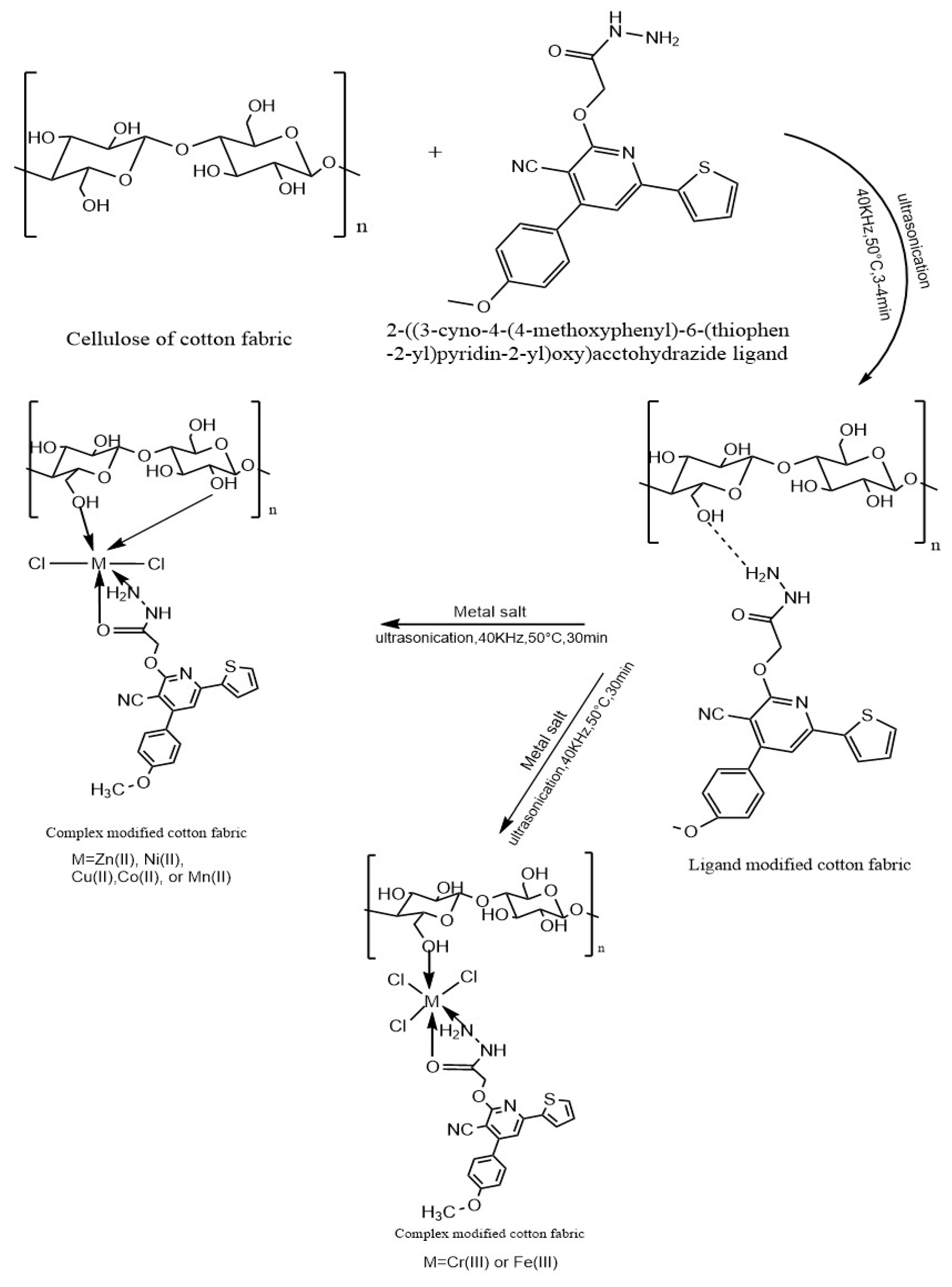 Materials 16 04885 sch002 Materials 16 04885 sch002