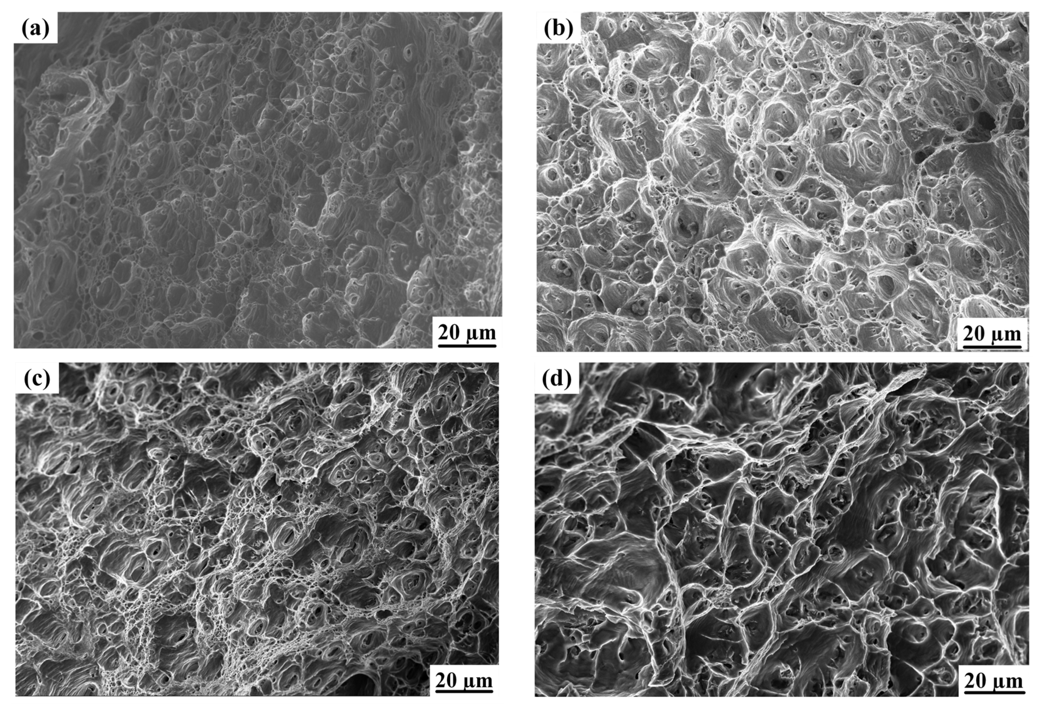 Materials 16 04886 g013 Materials 16 04886 g013