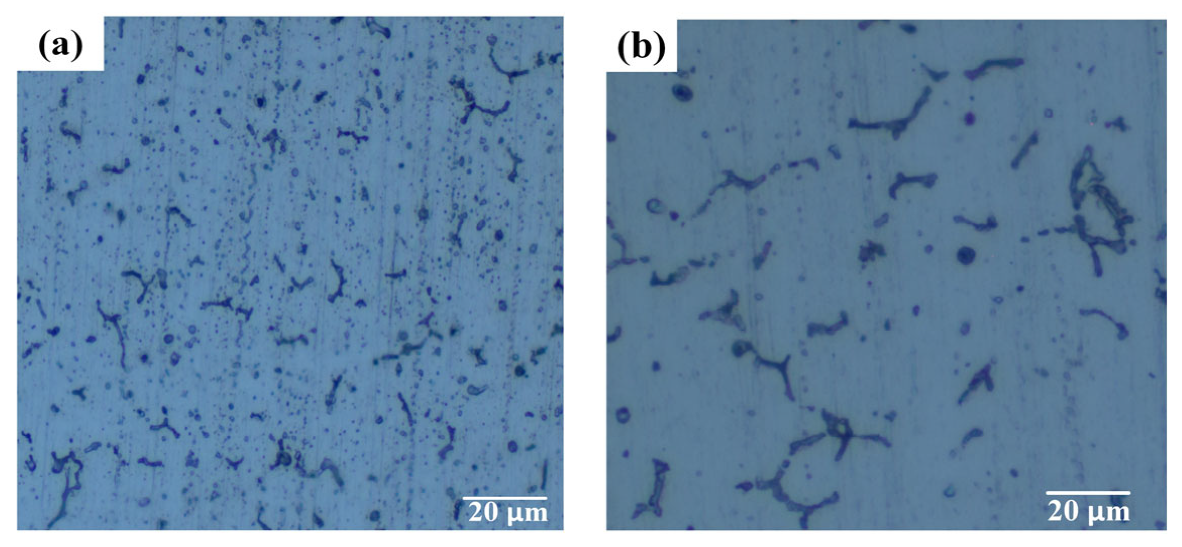Materials 16 04886 g015a Materials 16 04886 g015a