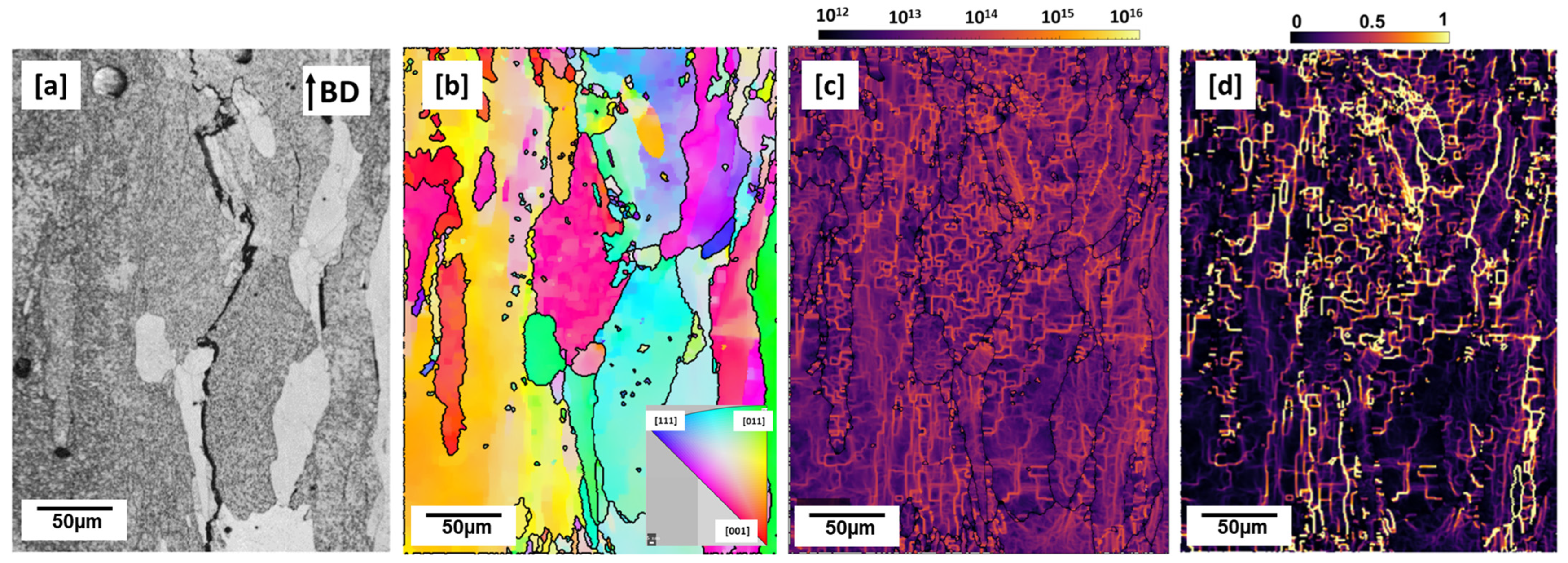 Materials 16 04916 g002