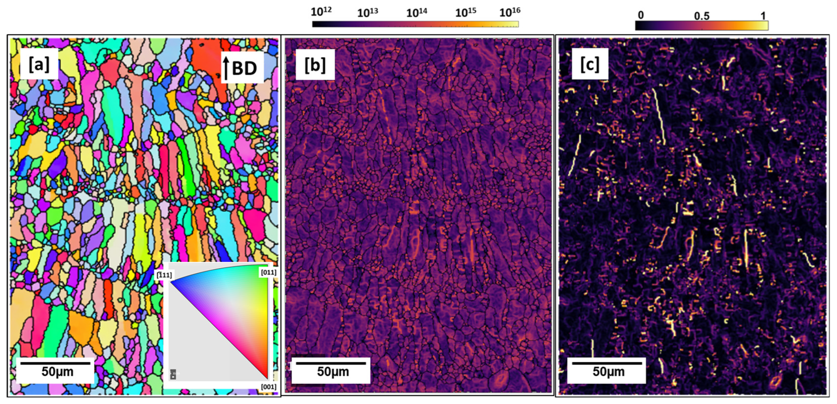Materials 16 04916 g006