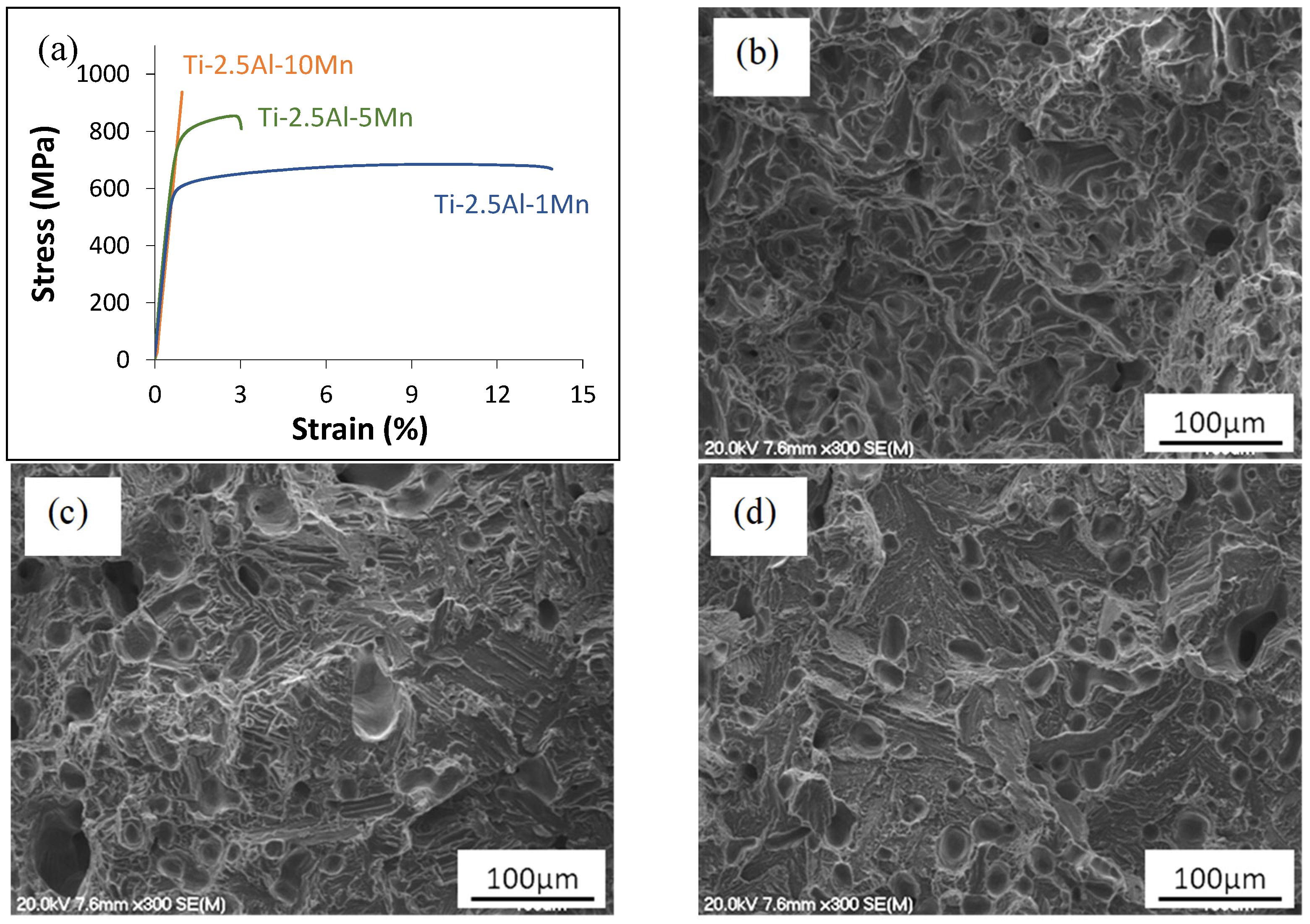Materials 16 04917 g005