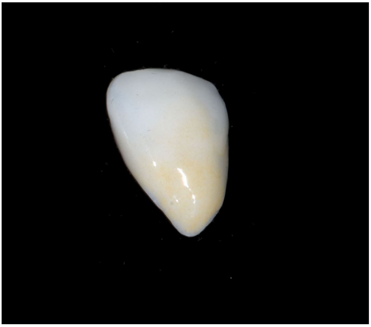 Materials 16 04932 g003 Materials 16 04932 g003