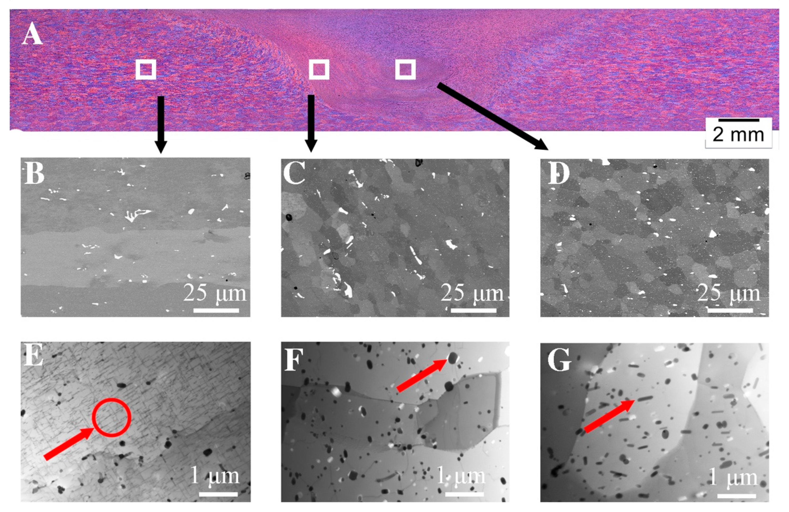 Materials 16 04937 g002 Materials 16 04937 g002