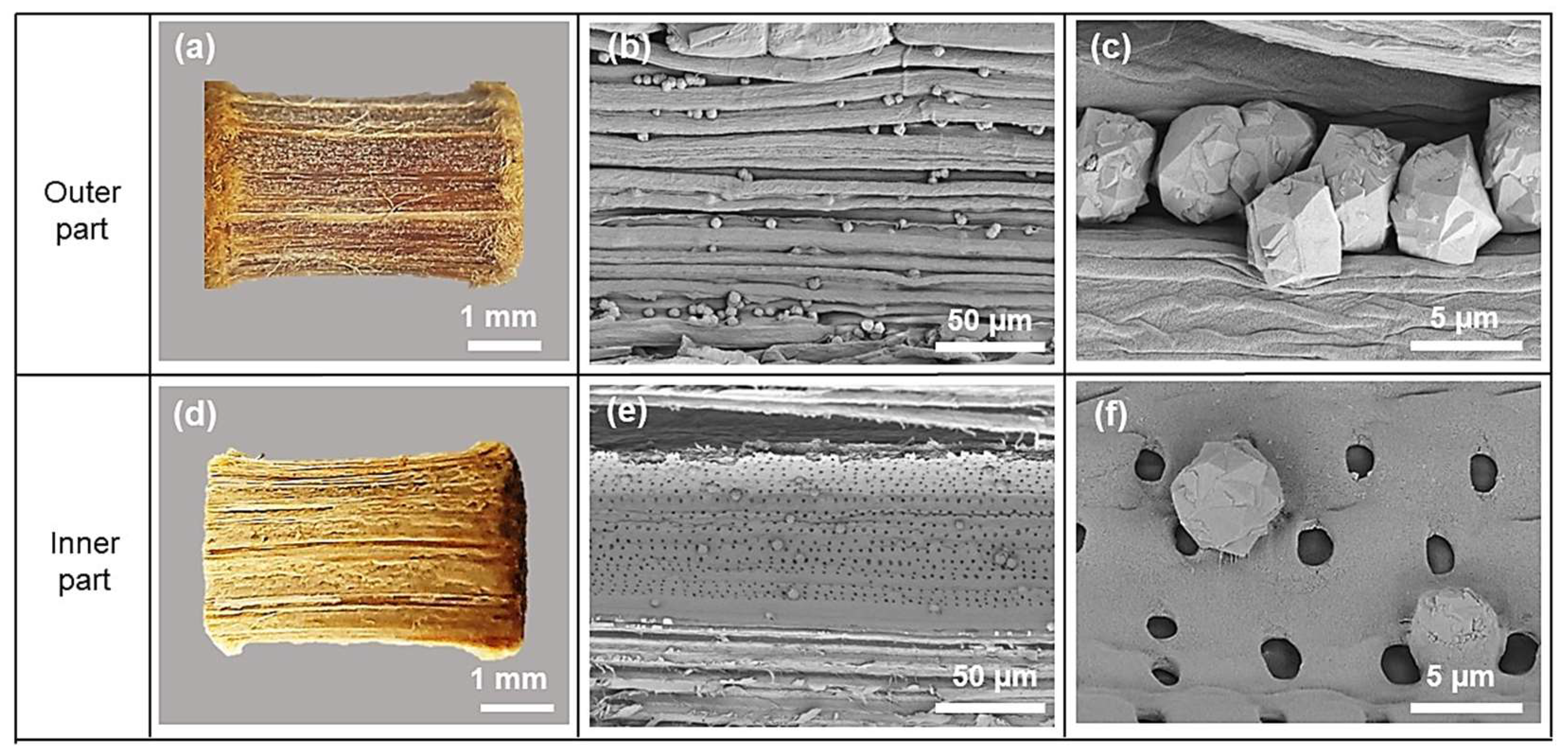 Materials 16 04946 g002 Materials 16 04946 g002