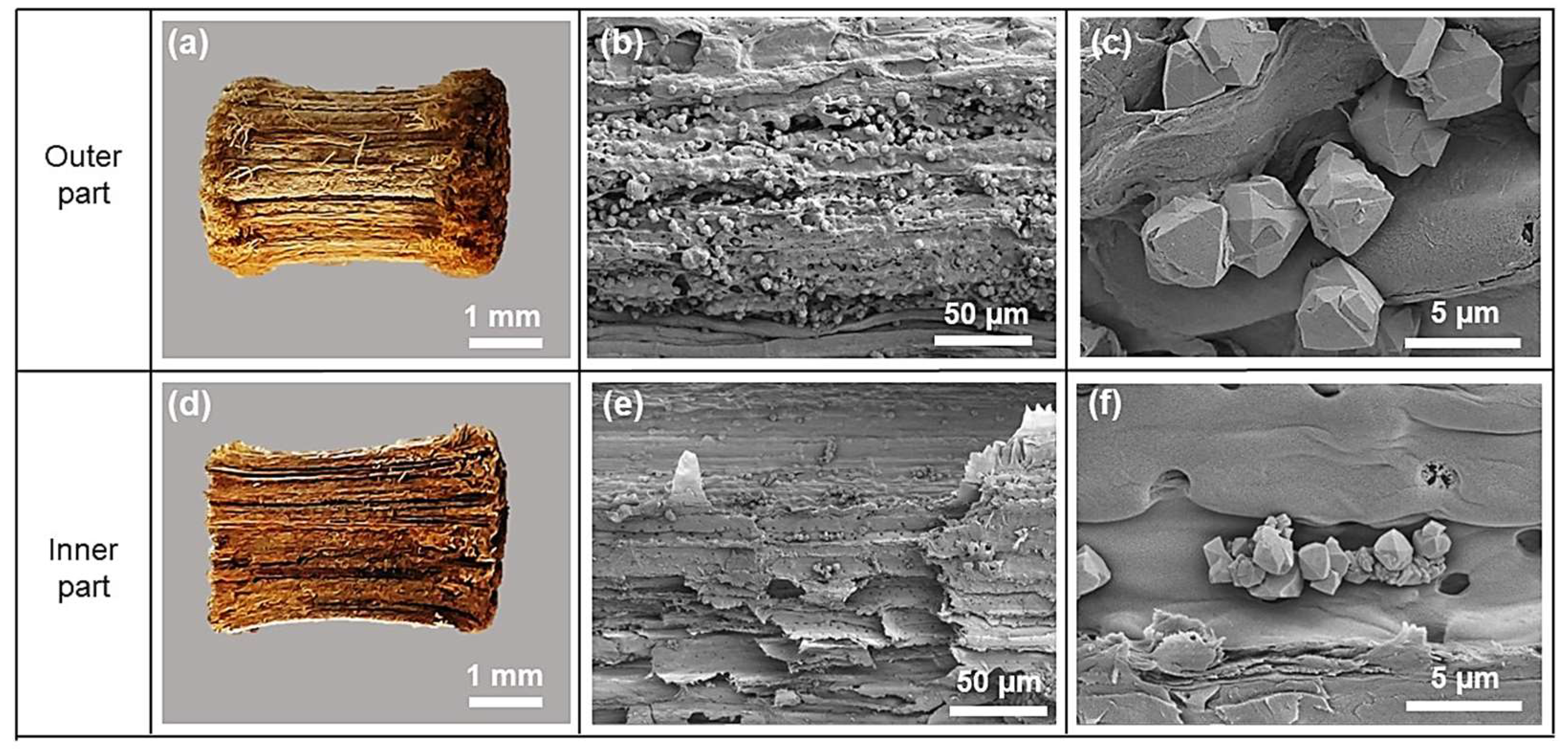 Materials 16 04946 g003 Materials 16 04946 g003