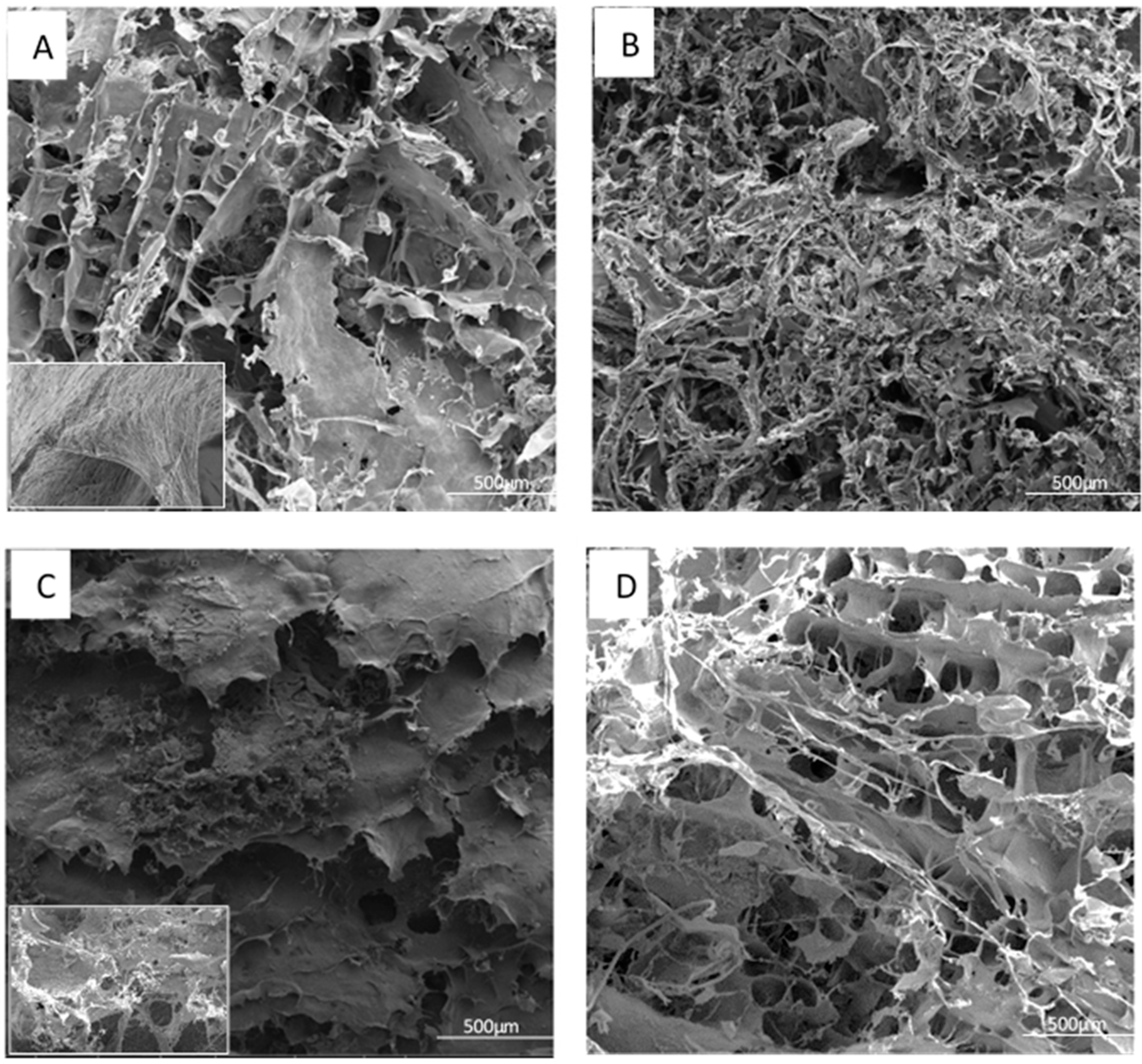 Materials 16 04965 g004 Materials 16 04965 g004