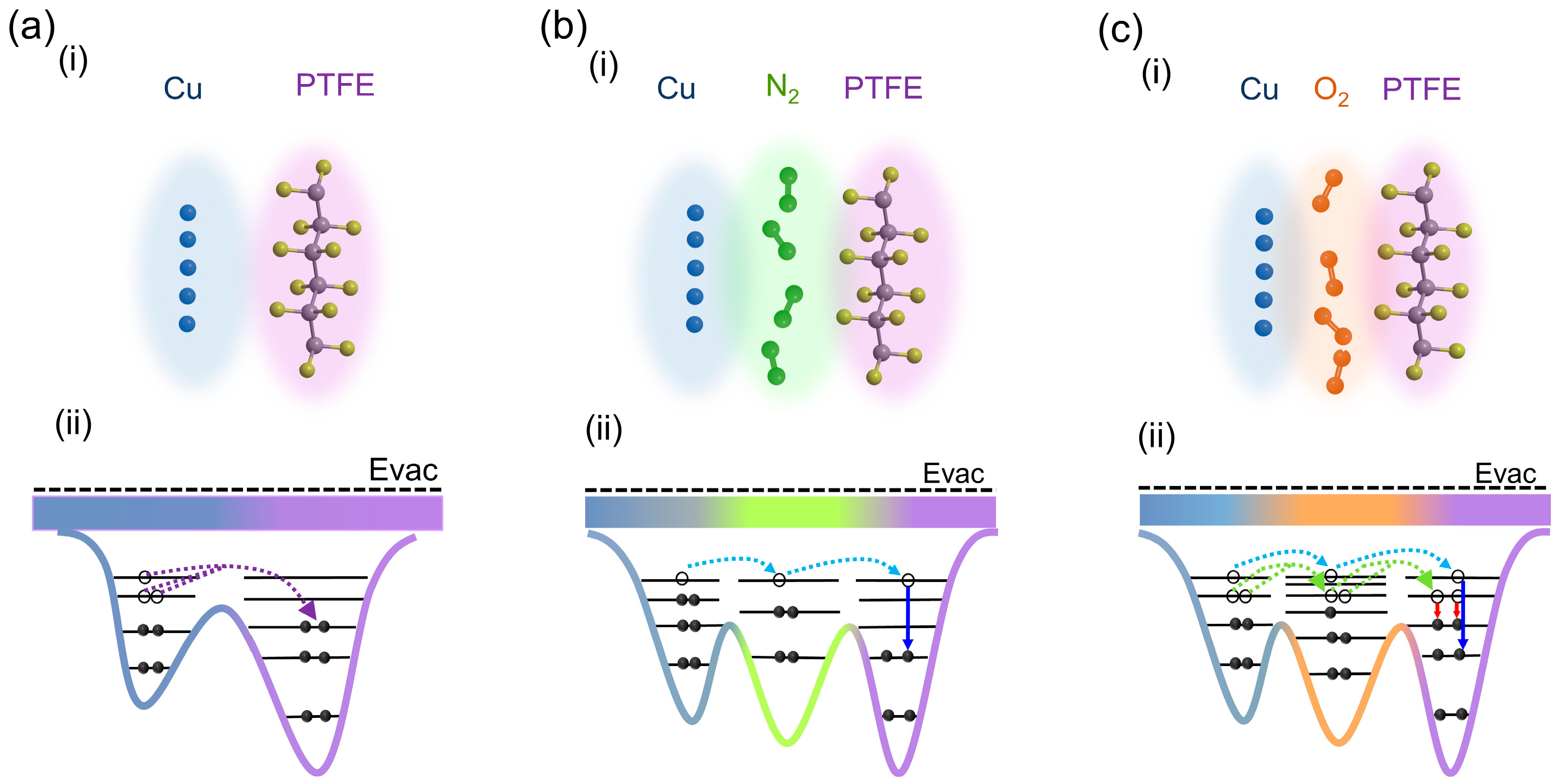 Materials 16 04970 g007 Materials 16 04970 g007
