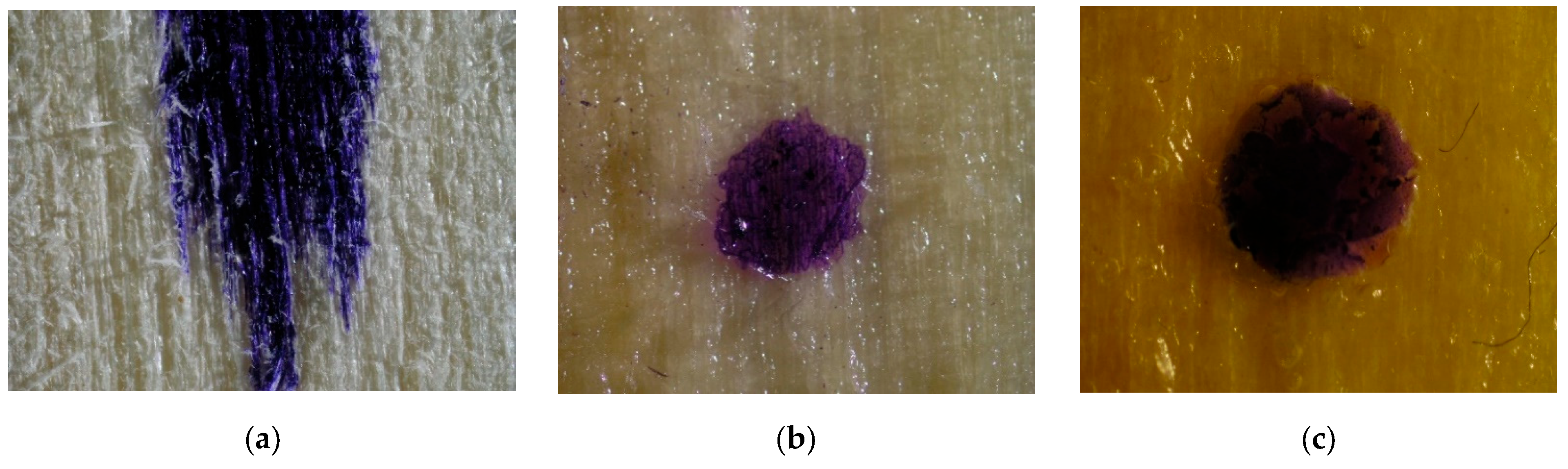 Materials 16 04975 g005