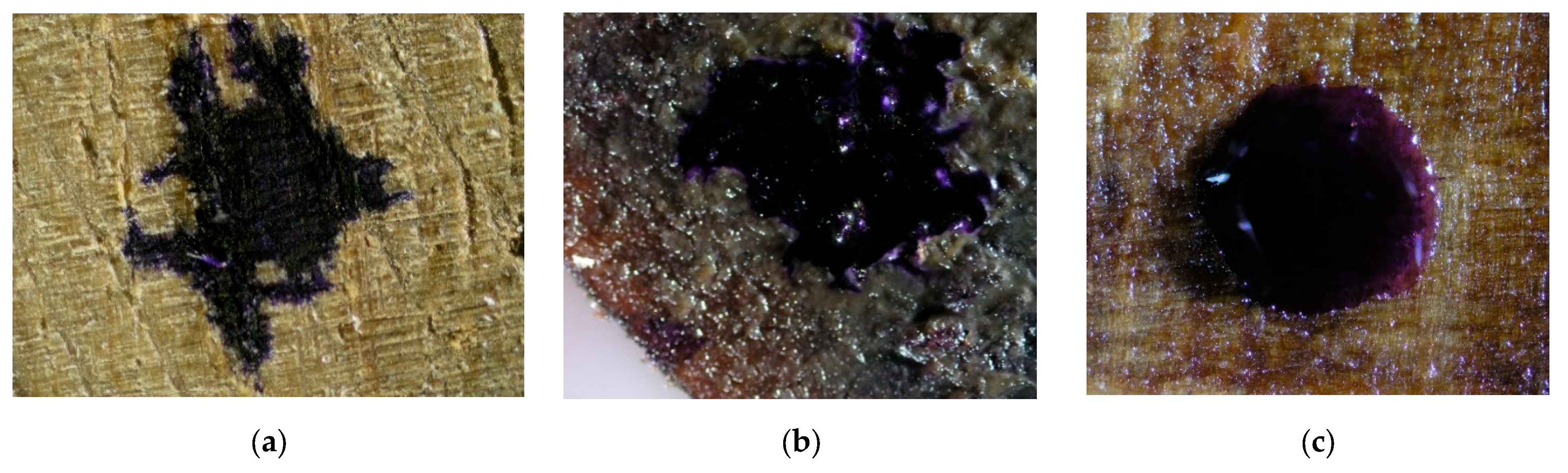 Materials 16 04975 g006