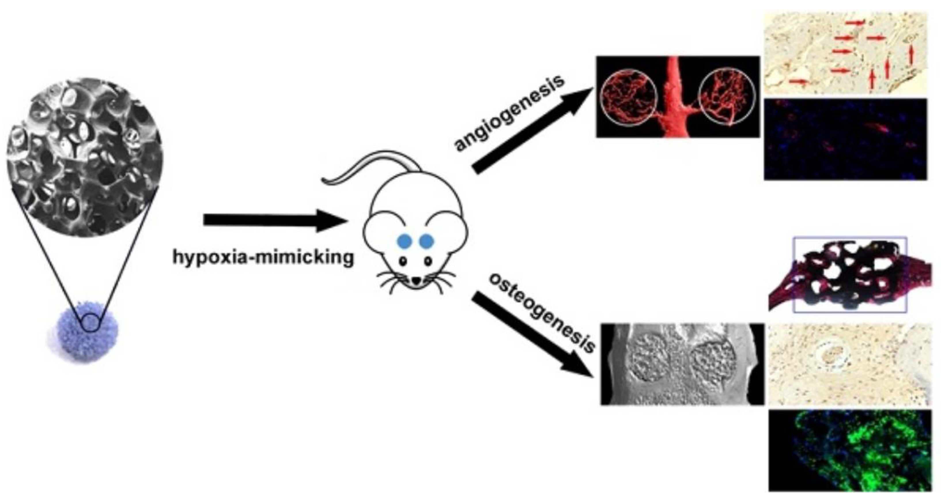 Materials 16 04994 g001 Materials 16 04994 g001