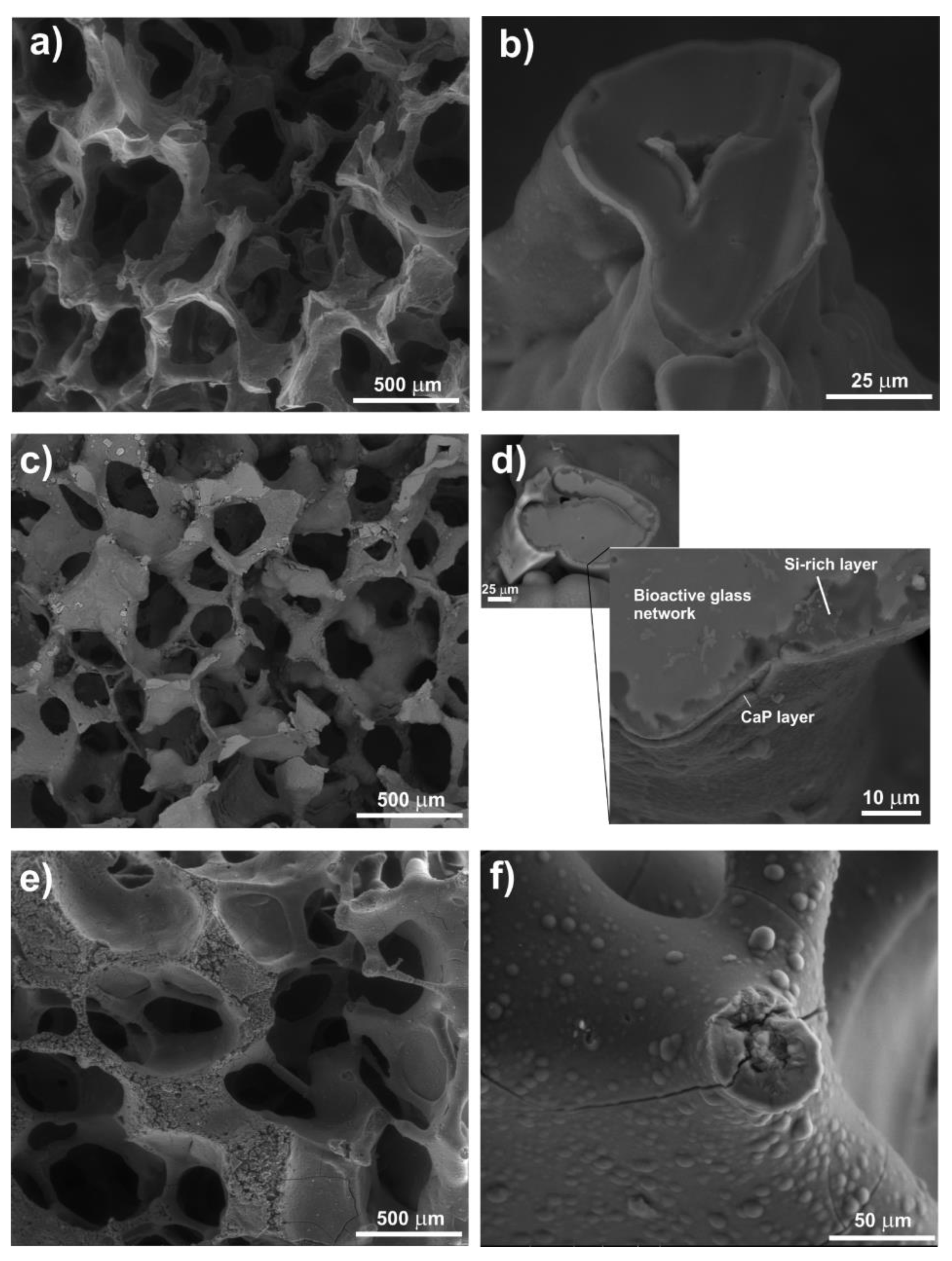 Materials 16 04994 g002 Materials 16 04994 g002