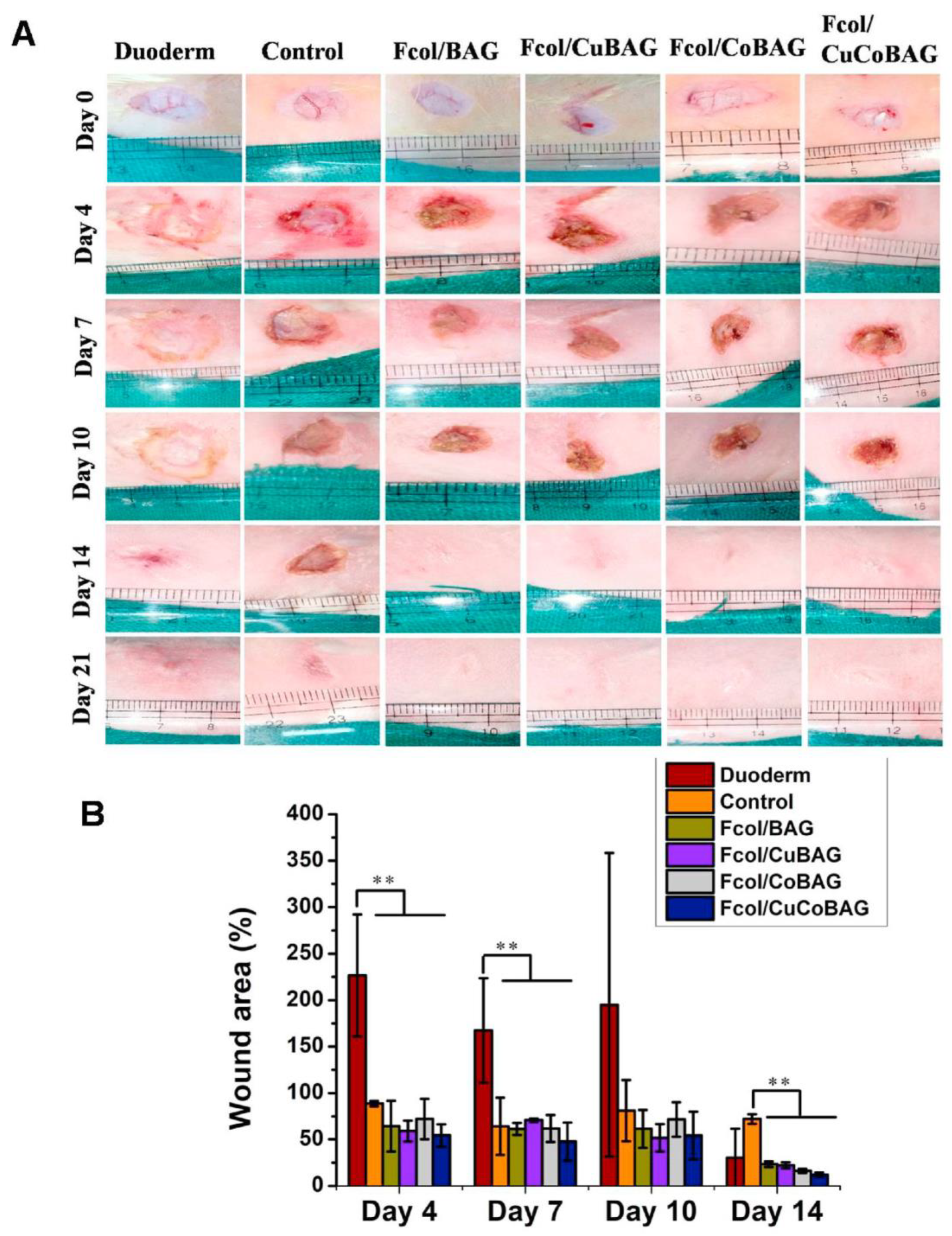 Materials 16 04994 g006 Materials 16 04994 g006