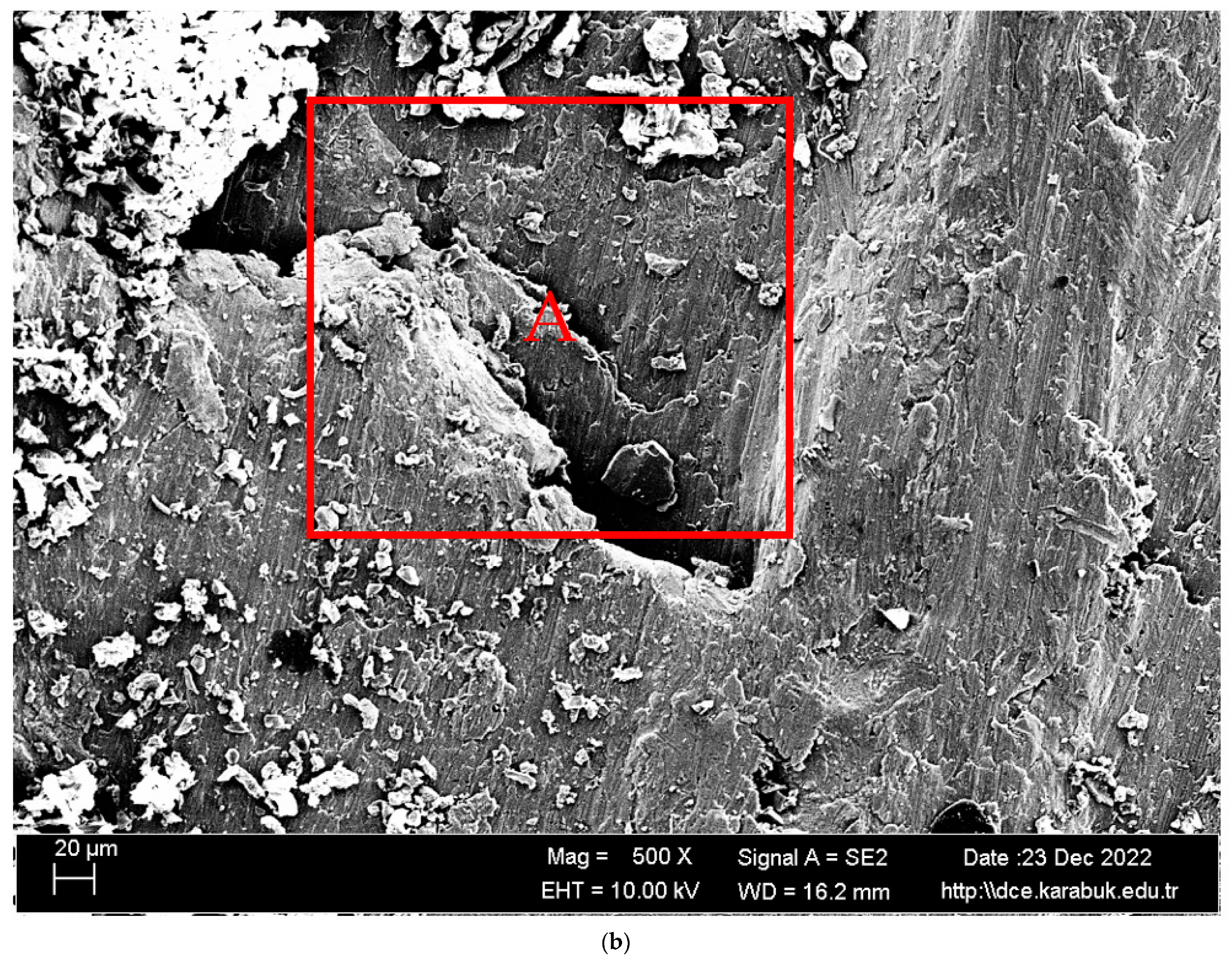 Materials 16 04996 g010b