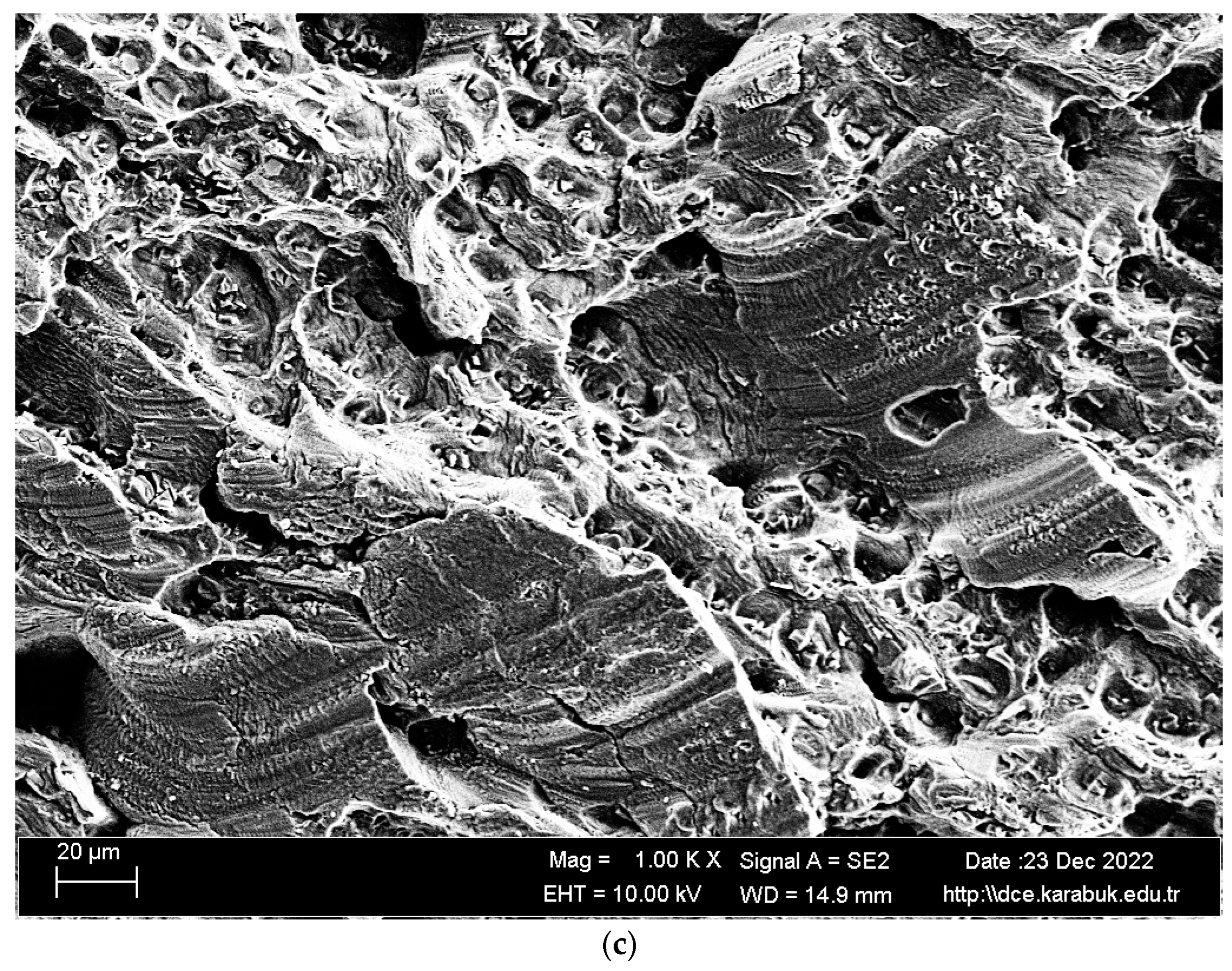 Materials 16 04996 g017b