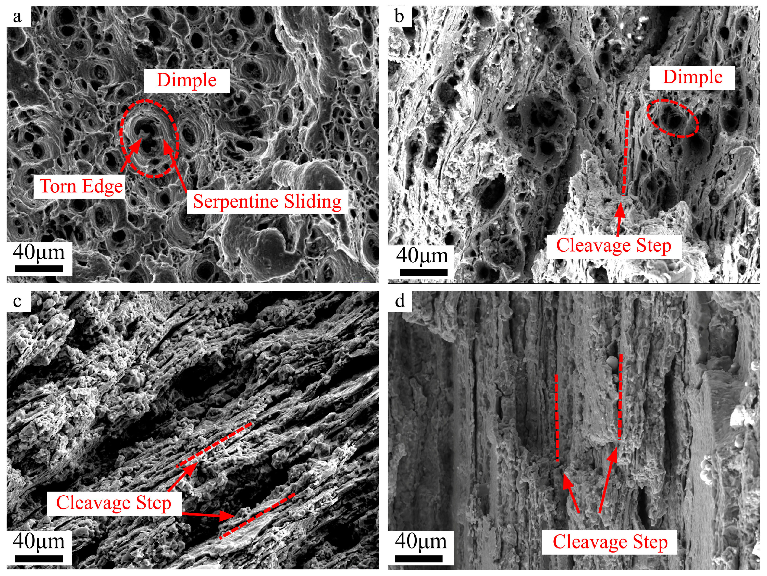 Materials 16 05012 g003 Materials 16 05012 g003
