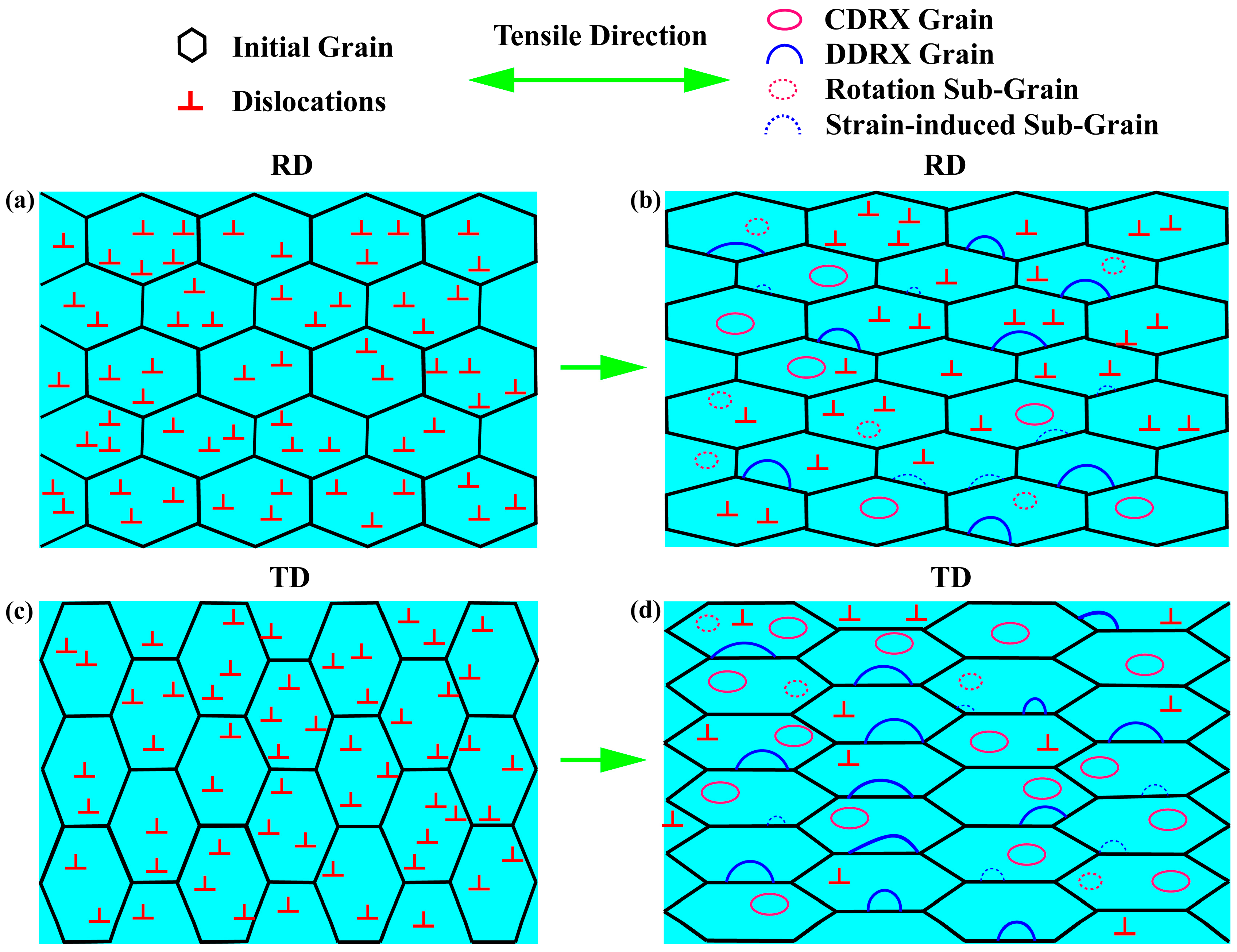 Materials 16 05012 g011 Materials 16 05012 g011