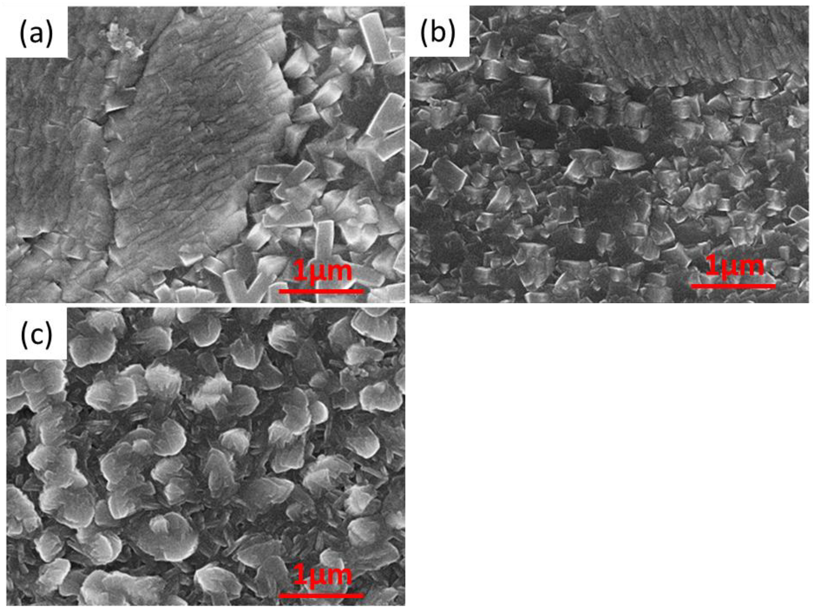 Materials 16 05019 g004