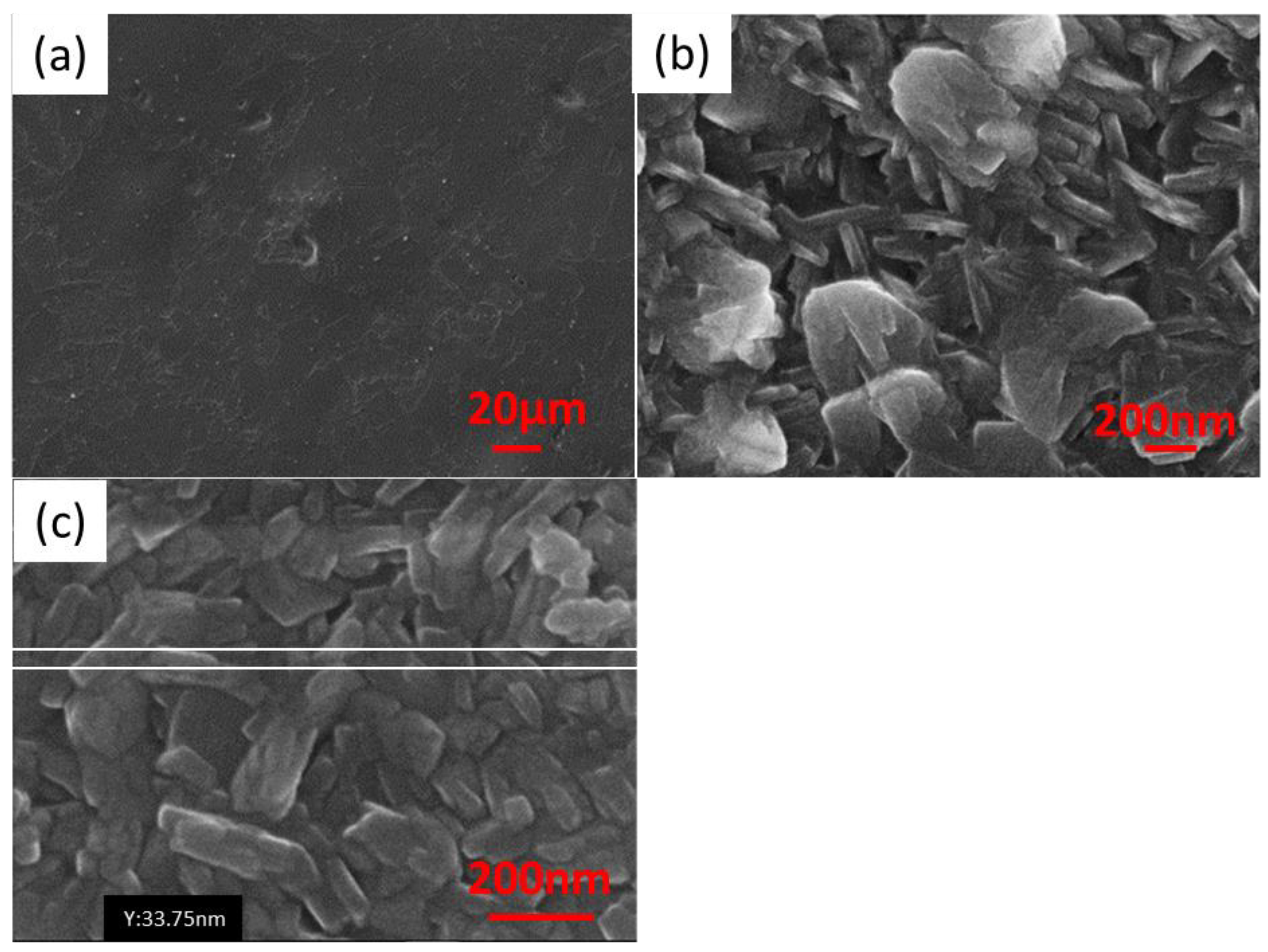 Materials 16 05019 g005