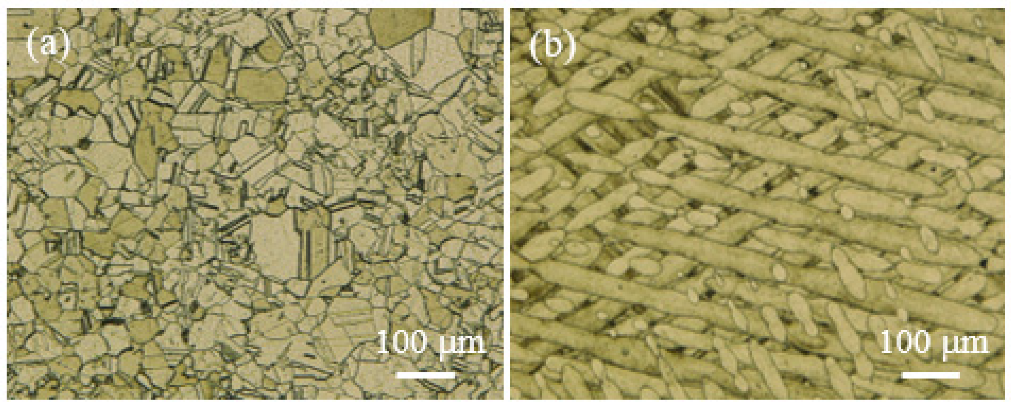 Materials 16 05020 g003 Materials 16 05020 g003