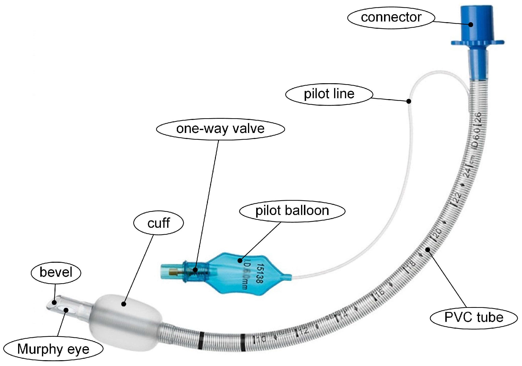 Materials Free Full Text Antimicrobial Solutions for Endotracheal Materials Free Full Text Antimicrobial Solutions for Endotracheal