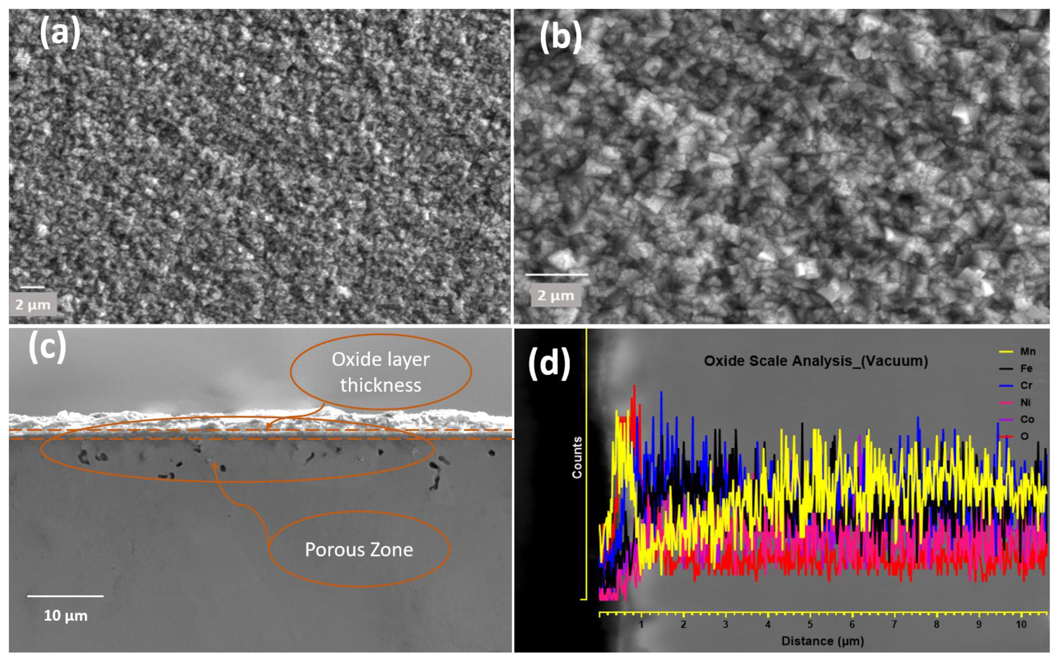 Materials 16 05042 g005 Materials 16 05042 g005