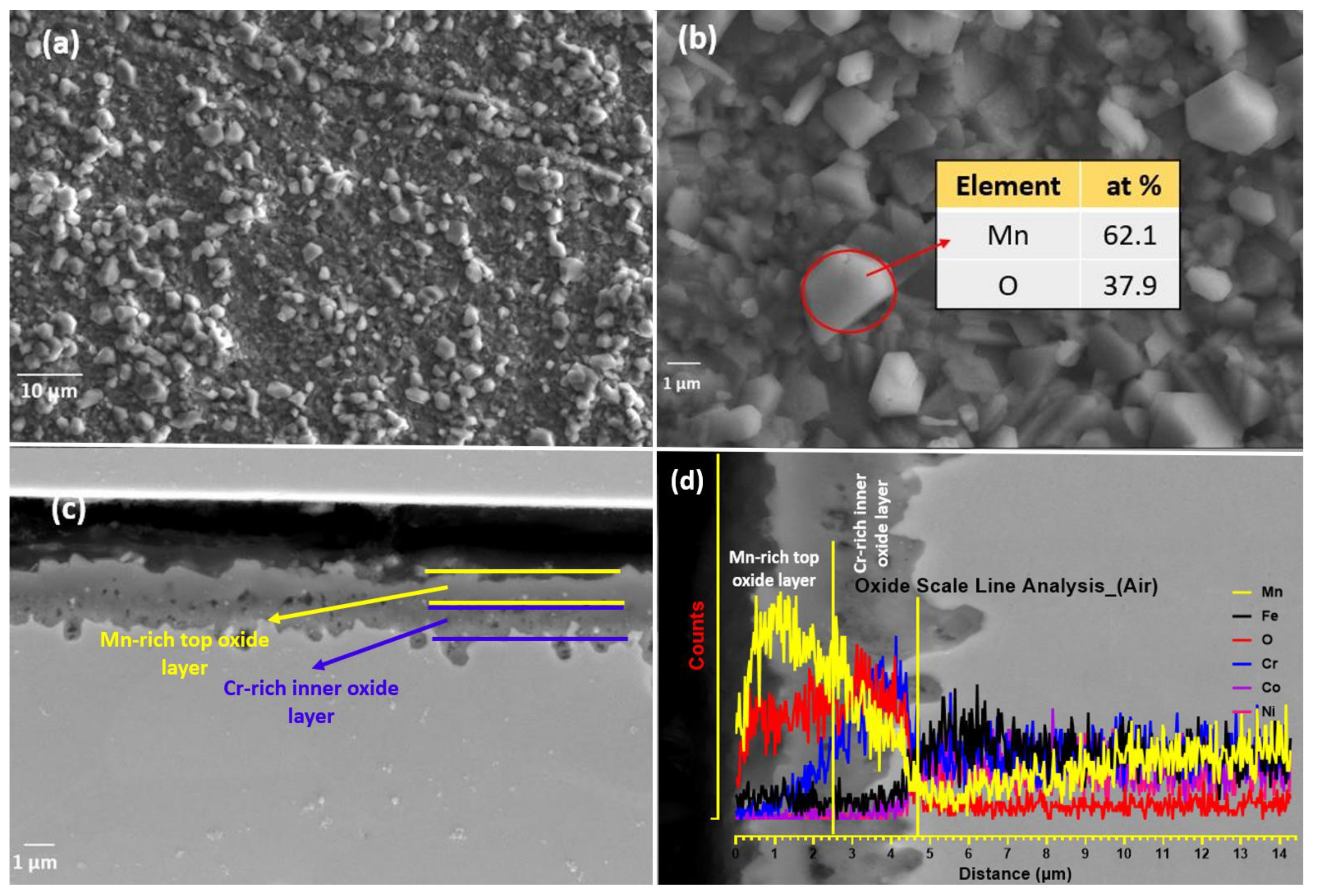 Materials 16 05042 g007 Materials 16 05042 g007