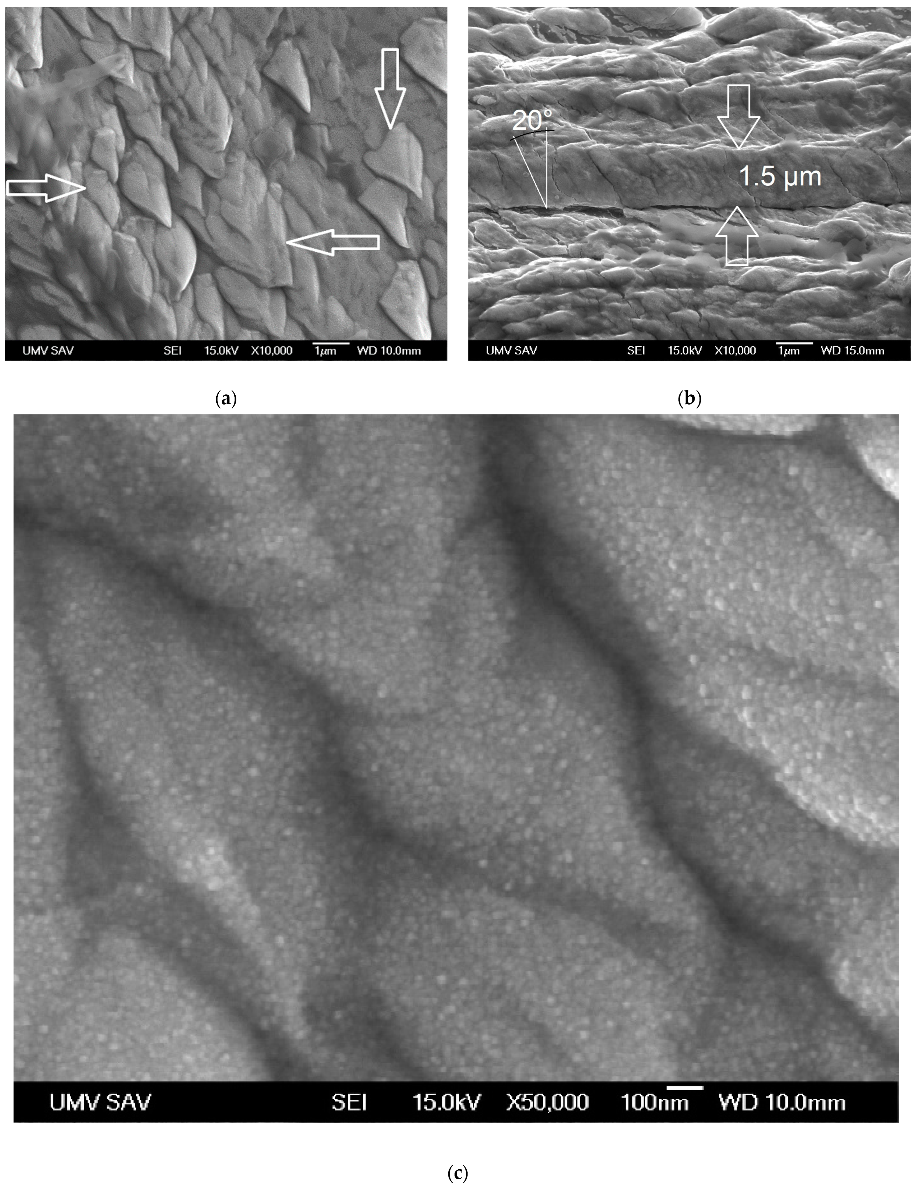 Materials 16 05044 g002