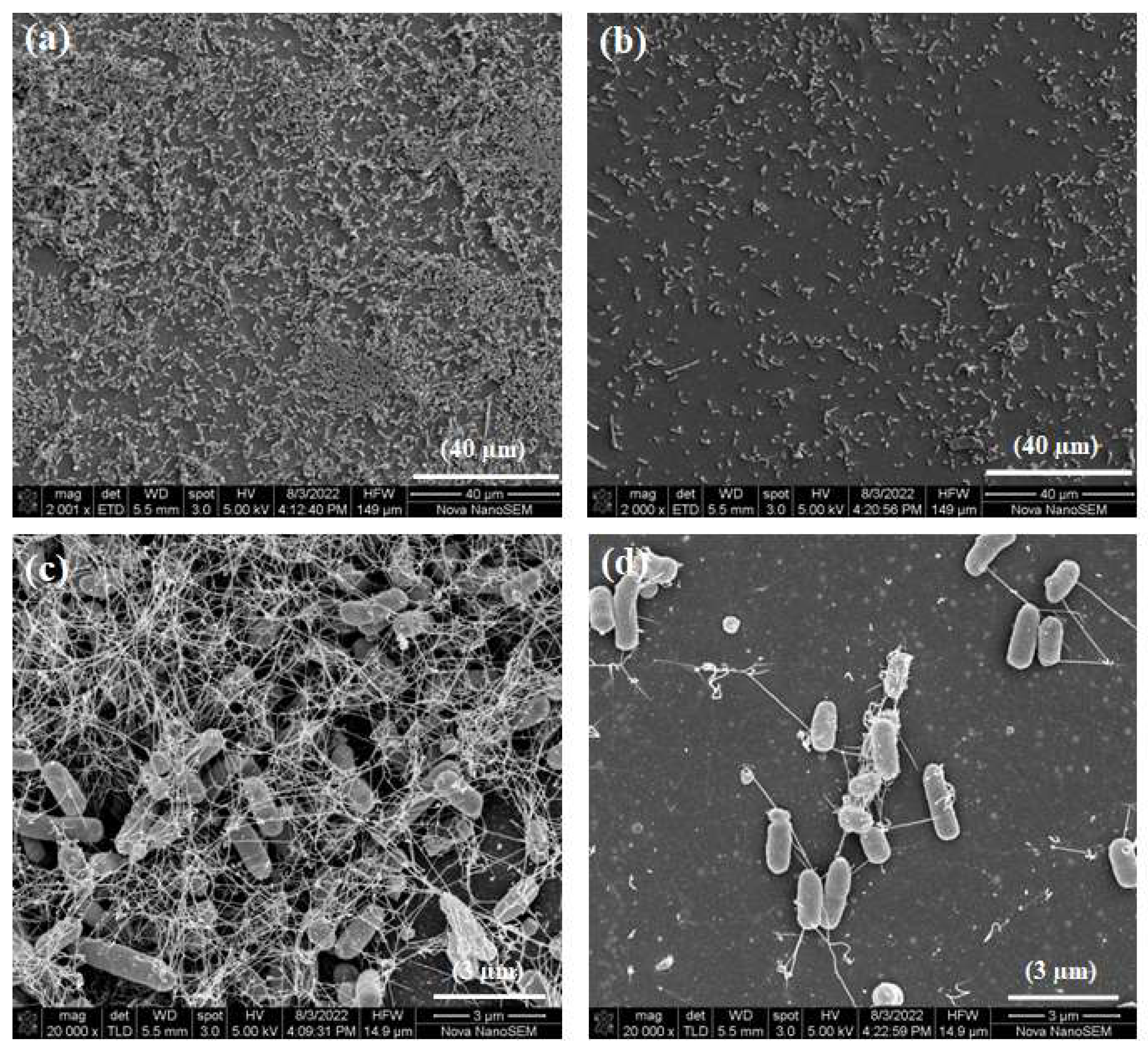 Materials 16 05045 g008 Materials 16 05045 g008