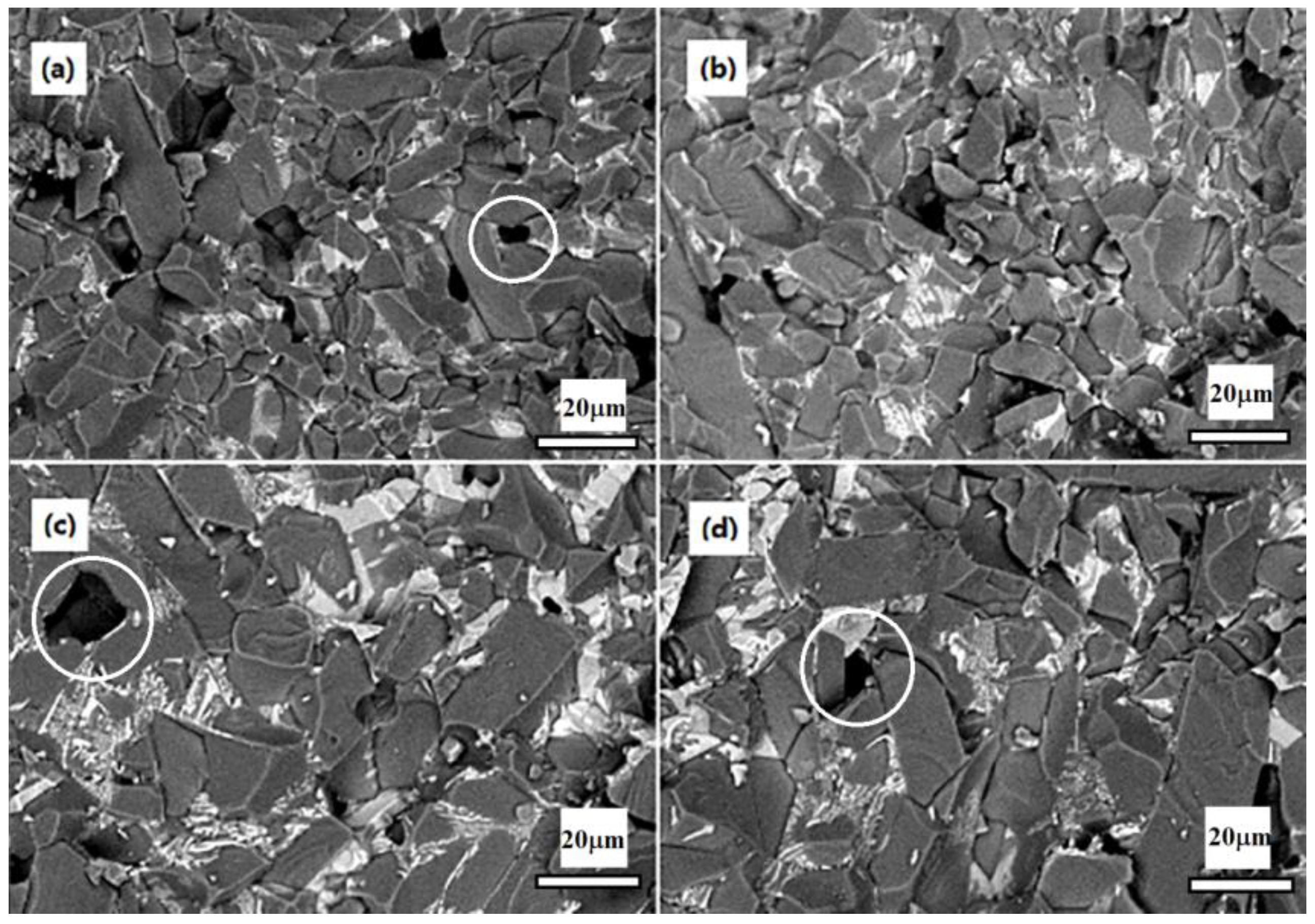 Materials 16 05048 g005