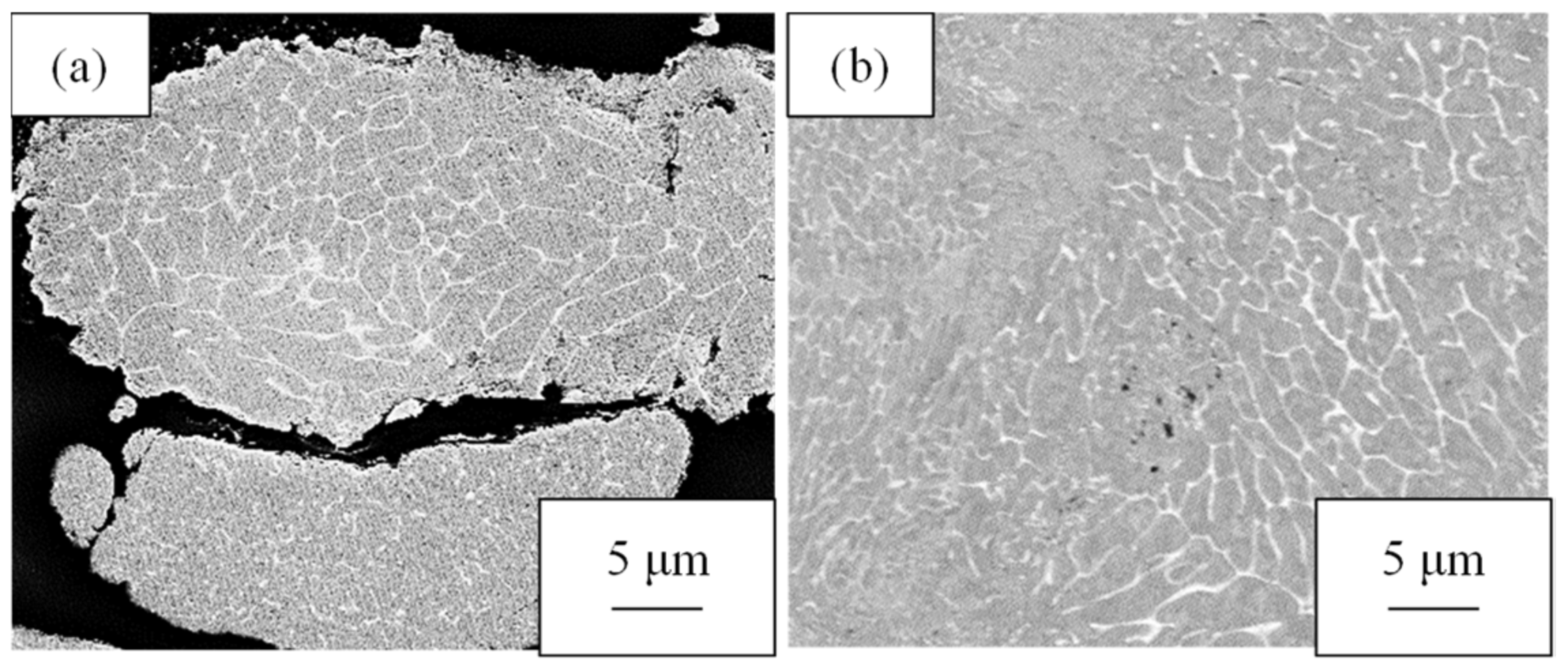 Materials 16 05050 g004 550
