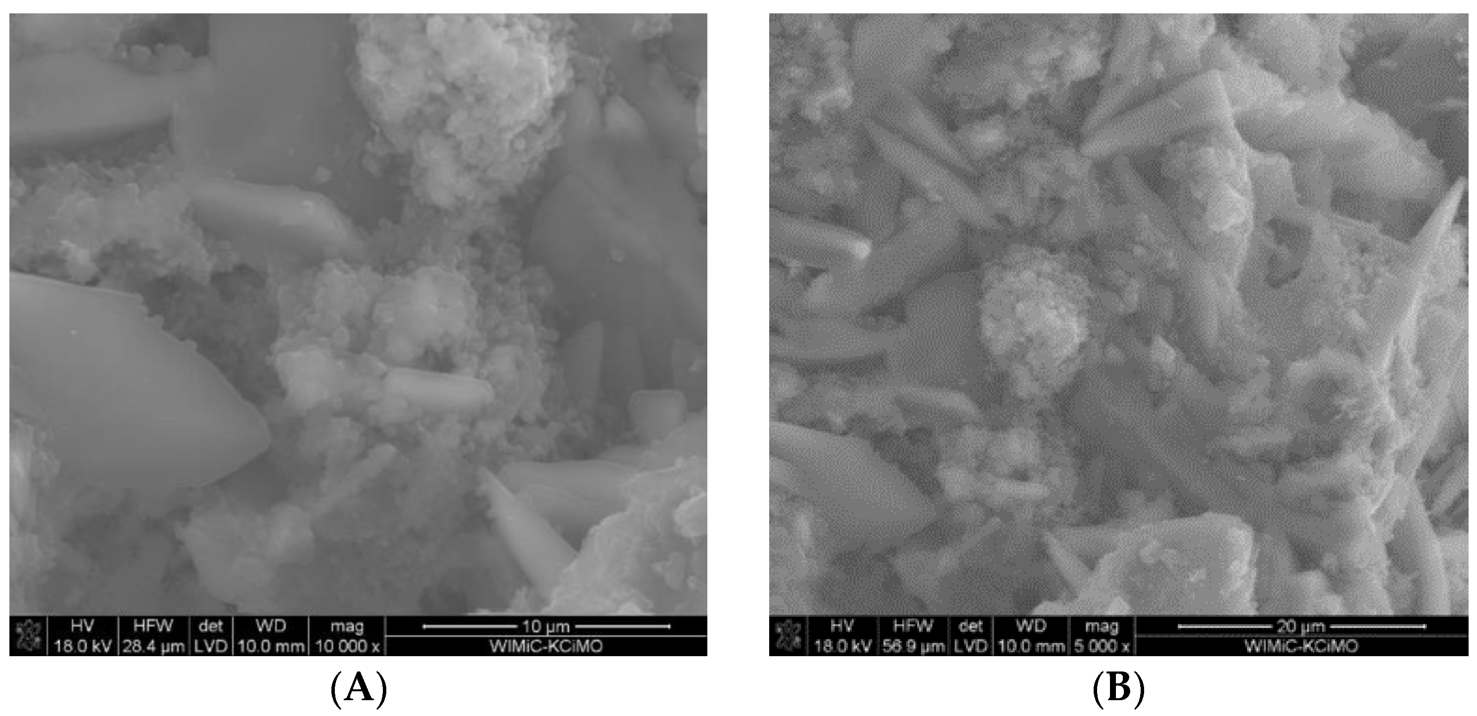 Materials 16 05058 g008 Materials 16 05058 g008