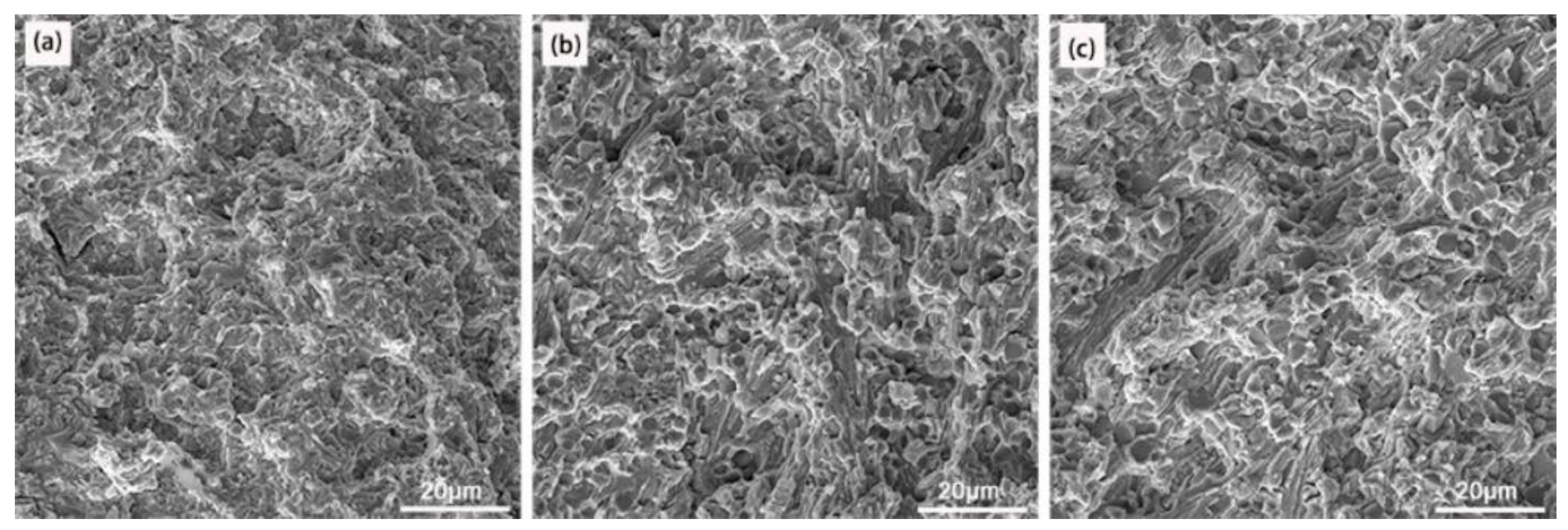 Materials 16 05059 g015 Materials 16 05059 g015