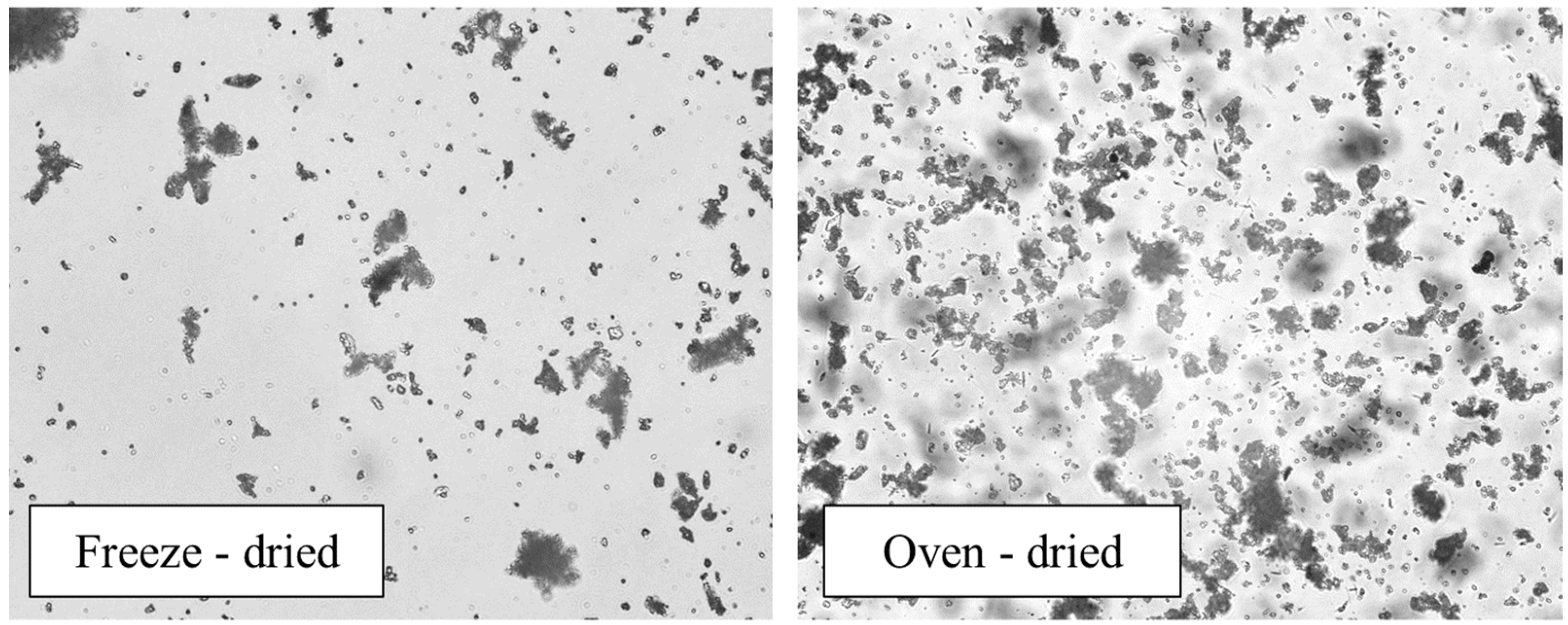 Materials 16 05062 g002