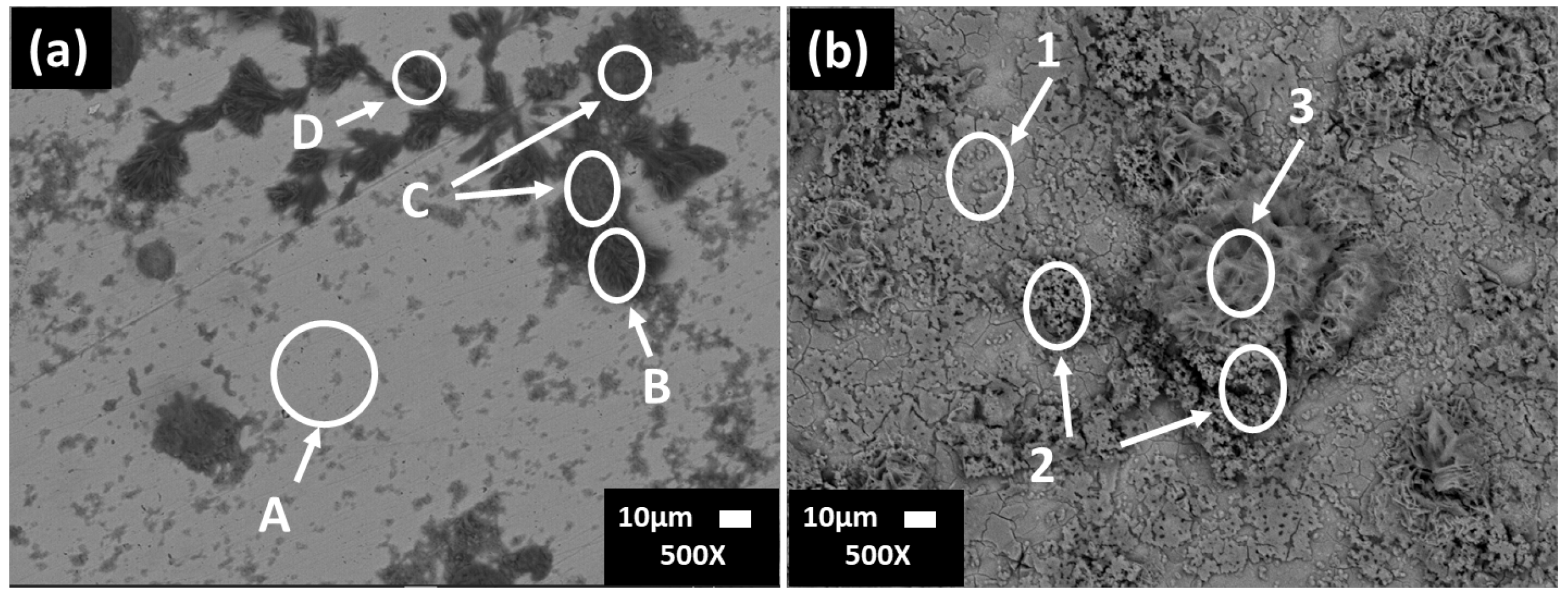 Materials 16 05066 g002 Materials 16 05066 g002