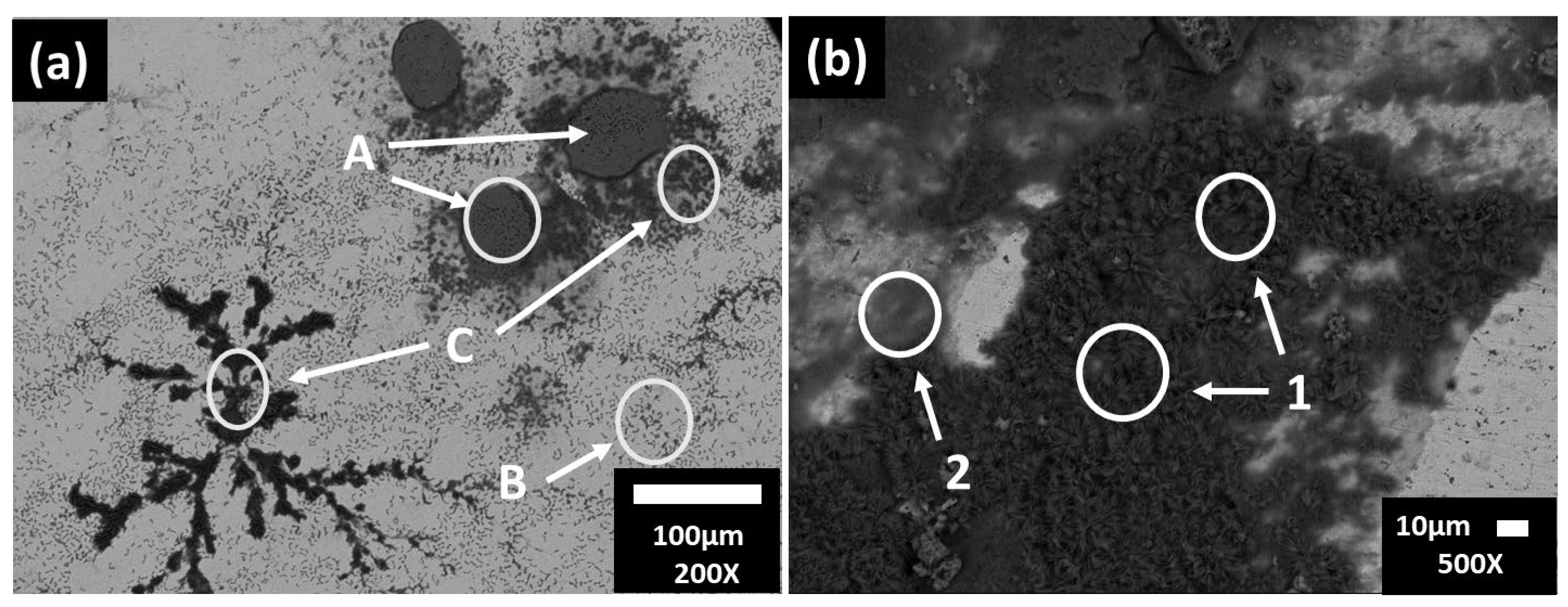 Materials 16 05066 g005 Materials 16 05066 g005