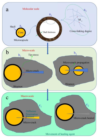 Multiscale Mathematical Analysis of Influencing Factors and ...