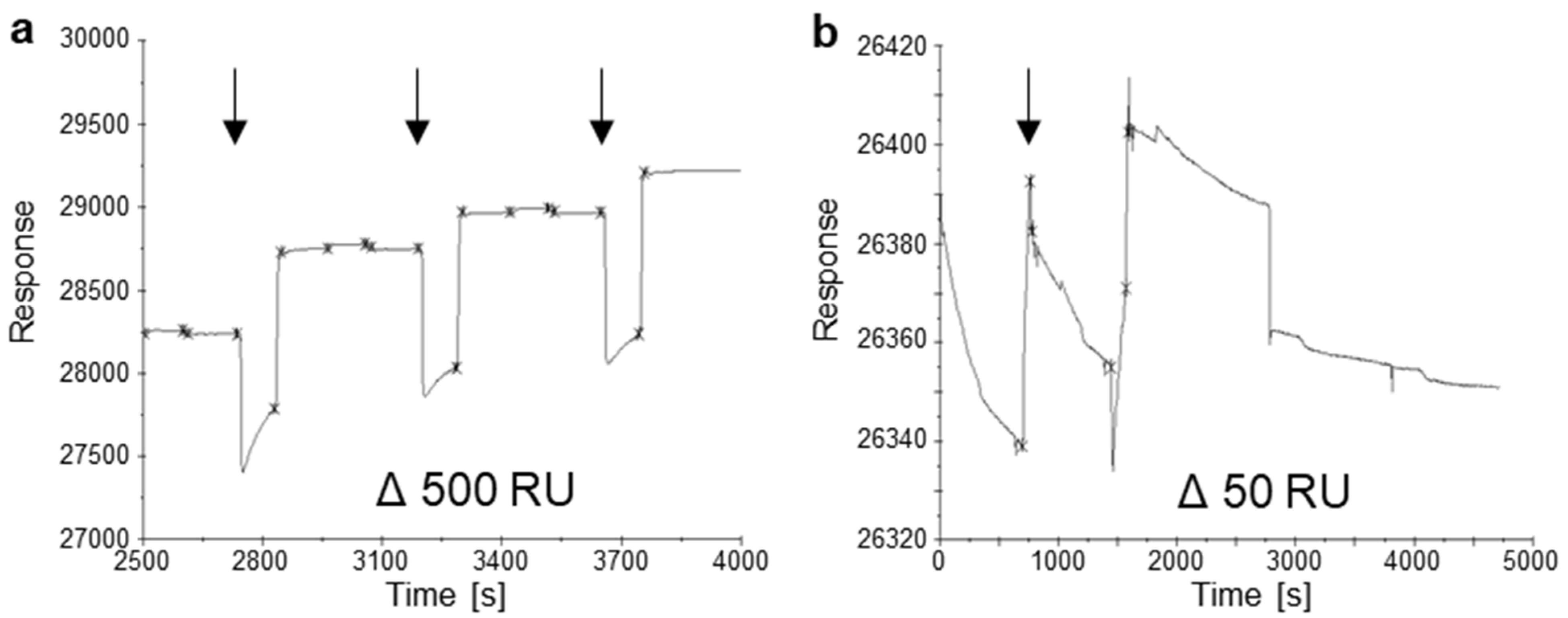 Materials 16 05082 g003 Materials 16 05082 g003