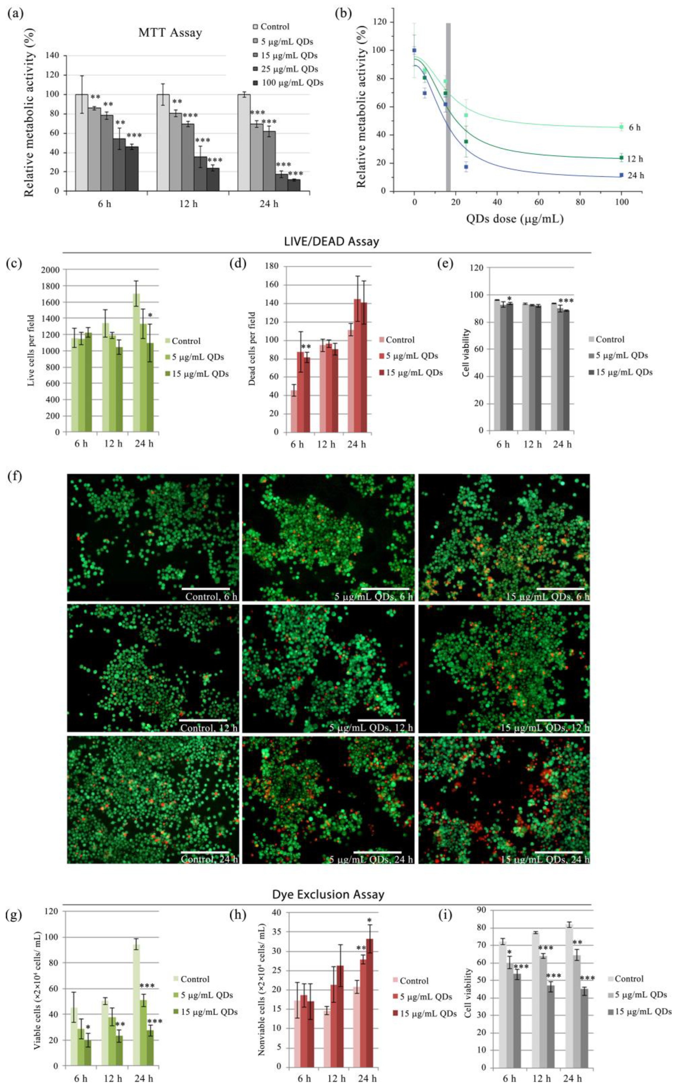 Materials 16 05083 g001 Materials 16 05083 g001