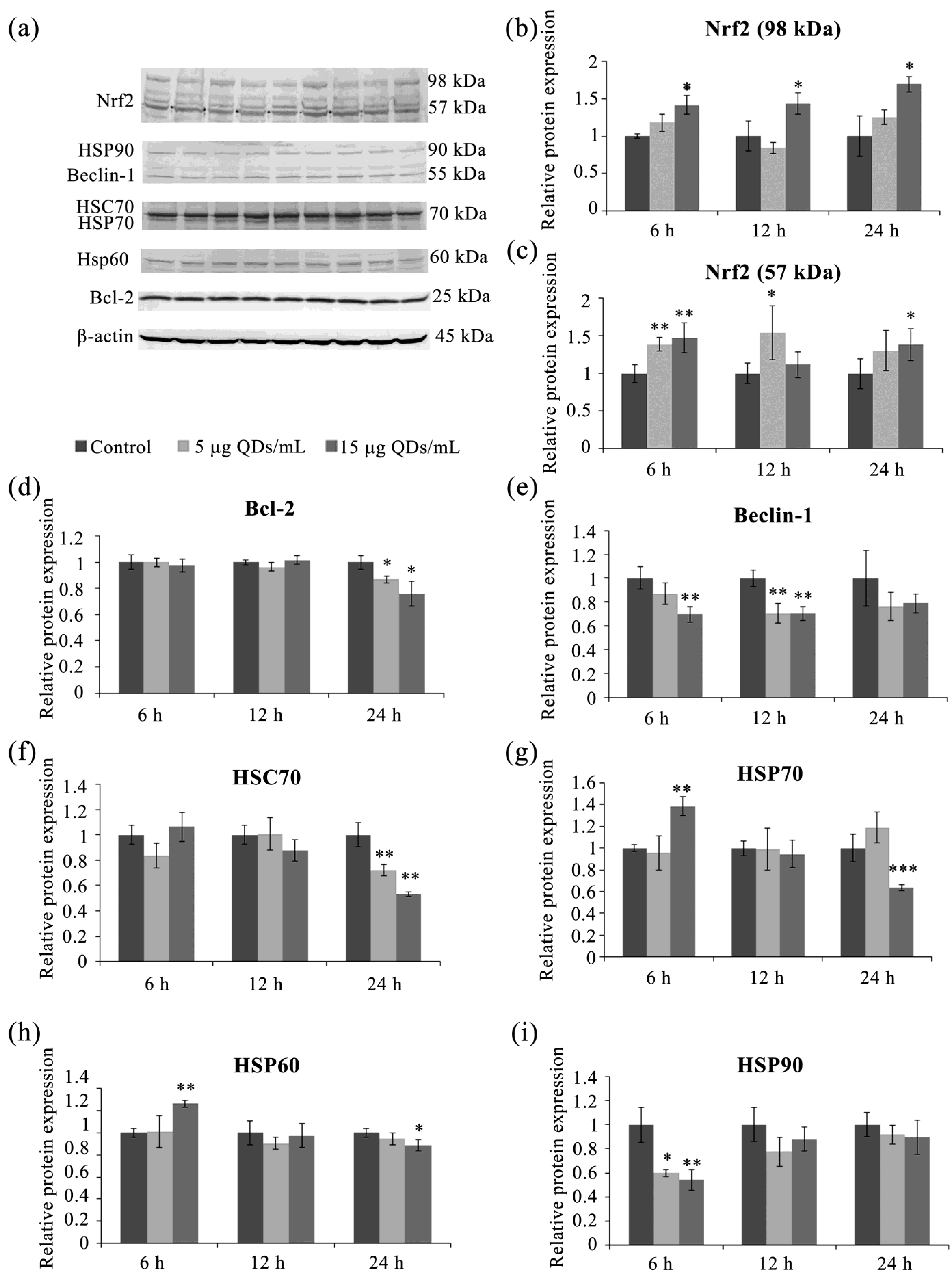 Materials 16 05083 g006 Materials 16 05083 g006