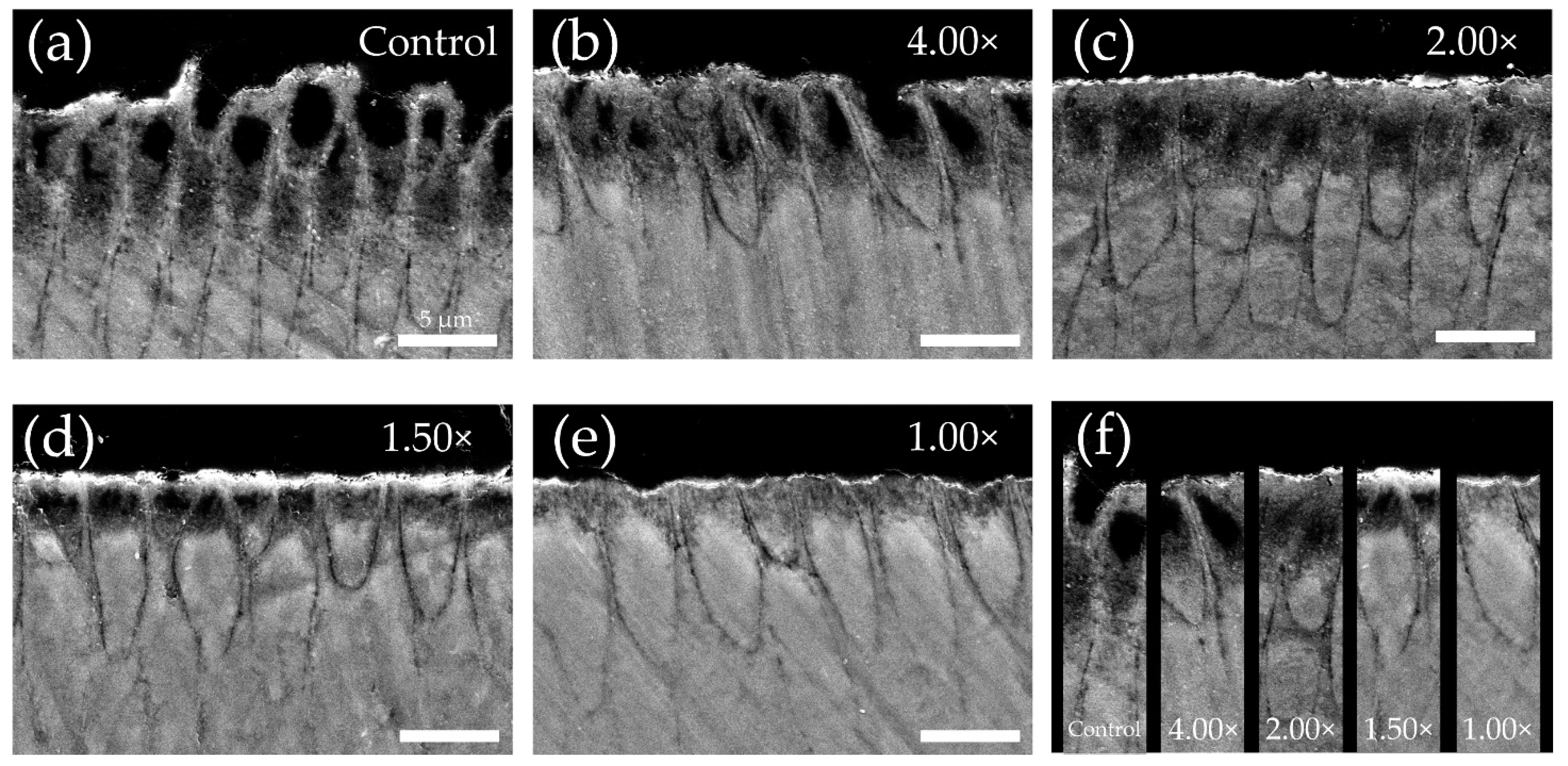 Materials 16 05089 g005