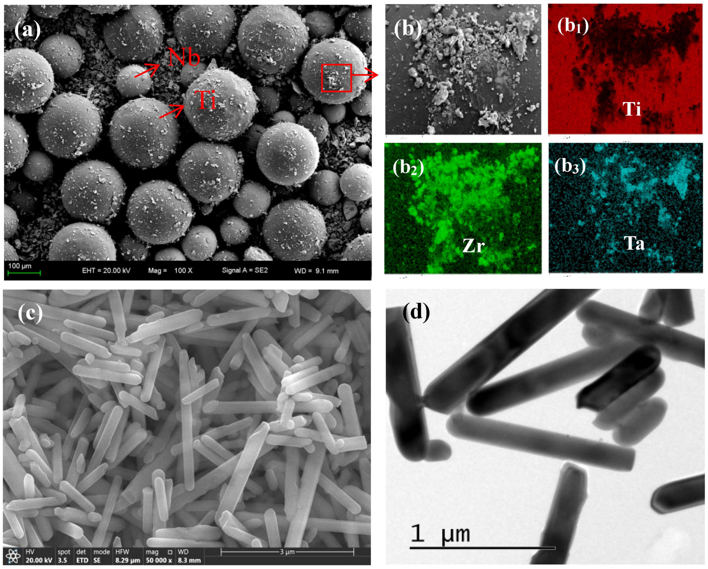 Materials 16 05095 g001