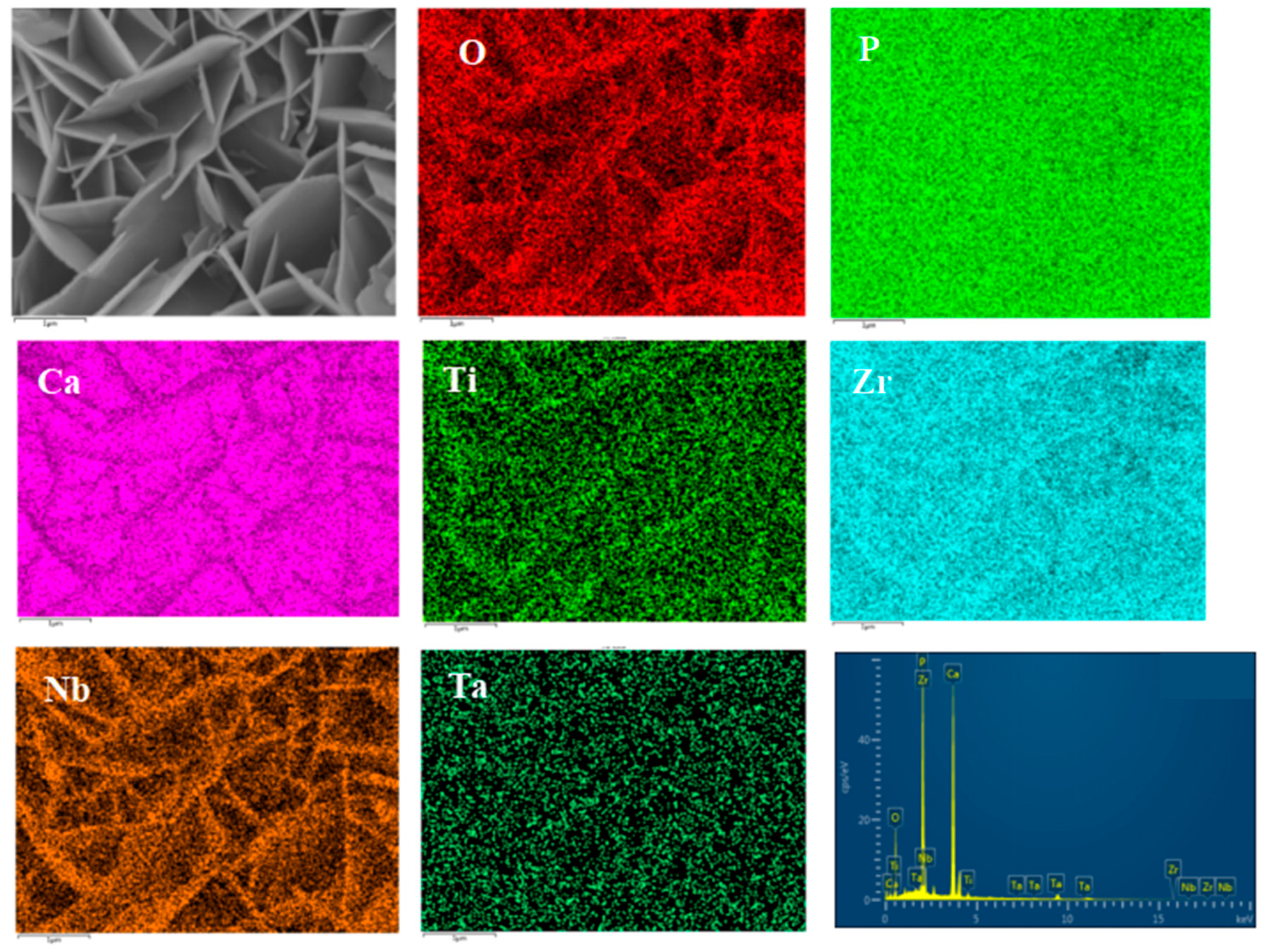 Materials 16 05095 g015